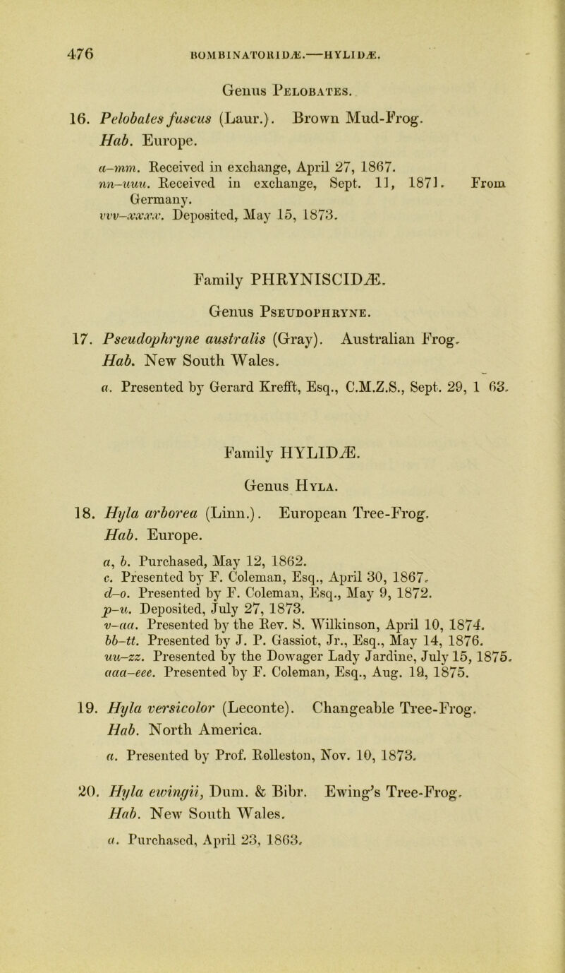 Genus Pelobates. 16. Pelobates fuscus (Laur.). Brown Mud-Frog. Hab. Europe. a-mm. Received in exchange, April 27, 1867. nn-uuu. Received in exchange, Sept. 11, 187L From. Germany. vvv-xxxx. Deposited, May 15, 1873. Family PHRYNISCIDAE Genus Pseudophryne. 17. Pseudophryne australis (Gray). Australian Frog. Hab. New South Wales. a. Presented by Gerard Krefft, Esq., C.M.Z.S., Sept. 29, 1 63. Family IIYLID/E. Genus Hyla. 18. Hyla arborea (Linn.). European Tree-Frog, Hab. Europe. a, b. Purchased, May 12, 1862. c. Presented by F. Coleman, Esq., April 30, 1867. d-o. Presented by F. Coleman, Esq., May 9, 1872. p-u. Deposited, July 27, 1873. v-aa. Presented by the Rev. S. Wilkinson, April 10, 1874. bb-tt. Presented by J. P. Gassiot, Jr., Esq., May 14, 1876. uu-zz. Presented by the Dowager Lady Jardine, July 15, 1875. aaa-eee. Presented by F. Coleman, Esq., Aug. 19, 1875. 19. Hyla versicolor (Leconte). Changeable Tree-Frog. Hab. North America. a. Presented by Prof. Rolleston, Nov. 10, 1873. 20. Hyla eivingii, Dum. & Bibr. Ewing's Tree-Frog. Hab. New South Wales.