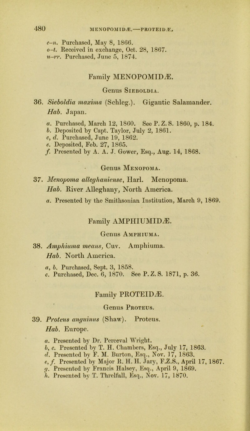 c-n. Purchased, May 8, 1866. o-t. Received in exchange, Oct. 28, 1867. u-rr. Purchased, June 5, 1874. Family MENOPOMIDiE. Genus Sieboldia. 36. Sieboldia maxima (Schleg.). Gigantic Salamander. Hab. Japan. a. Purchased, March 12, 1860. See P. Z. S. 1860, p. 184. b. Deposited by Capt. Taylor, July 2, 1861. c. d. Purchased, June 19, 1862. e. Deposited, Feb. 27, 1865. /. Presented by A. A. J. Gower, Esq., Aug. 14, 1868. Genus Menopoma. 37. Menopoma alleghaniense, Harl. Menopoma. Hab. River Alleghany, North America. a. Presented by the Smithsonian Institution, March 9, 1869. Family AMPHIUMIDiE. Genus Amphiuma. 38. Amphiuma means, Cuv. Amphiuma. Hab. North America. a, b. Purchased, Sept. 3, 1858. c. Purchased, Dec. 6, 1870. See P. Z. S. 1871, p. 36. Family PROTEIDiE. Genus Proteus. 39. Proteus anguinus (Shaw). Proteus. Hab. Europe. a. Presented by Dr. Perceval Wright. b, c. Presented by T. H. Chambers, Esq., July 17, 1863. d. Presented by F. M. Burton, Esq., Nov. 3 7, 1863. e, f. Presented by Major R. H. H. Jary, F.Z.S., April 17, 1867. r/. Presented by Francis Halsey, Esq., April 9, 1869. h. Presented by T. Threlfall, Esq., Nov. 17, 1870.