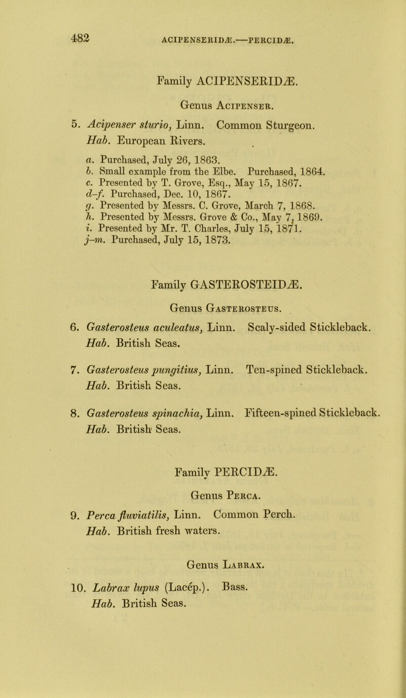 ACIPENSERIDAi. PERCIDA5. Family ACIPENSERIDiE. Genus Acipenser. 5. Acipenser sturio, Linn. Common Sturgeon. Hab. European Rivers. a. Purchased, July 26, 1863. b. Small example from the Elbe. Purchased, 1864. c. Presented by T. Grove, Esq., May 15, 1867. d-f. Purchased, Dec. 10, 1867. g. Presented by Messrs. C. Grove, March 7, 1868. h. Presented by Messrs. Grove & Co., May 7, 1869. i. Presented by Mr. T. Charles, July 15, 1871. j-m. Purchased, July 15, 1873. Family GASTEROSTELDiE. Genus Gasterosteus. 6. Gasterosteus aculeatus, Linn. Scaly-sided Stickleback. Hab. British Seas. 7. Gasterosteus pungitius, Linn. Ten-spined Stickleback. Hab. British Seas. 8. Gasterosteus spinachia, Linn. Fifteen-spined Stickleback. Hab. British Seas. Family PERCIME. Genus Perca. 9. Perca fluviatilis, Linn. Common Perch. Hab. British fresh waters. Genus Labrax. 10. Labrax lupus (Lacep.). Bass.