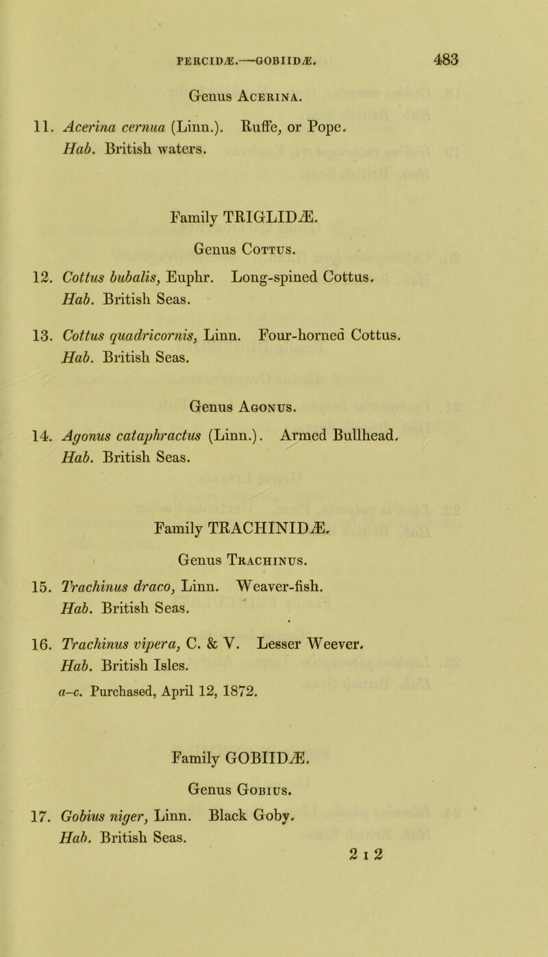 Genus Acerina. 11. Acerina cernua (Linn.). Ruffe, or Pope. Hab. British waters. Family TRIGLIDiE. Genus Cottus. 12. Cottus bubalis, Euphr. Long-spined Cottus. Hab. British Seas. 13. Cottus quadricornis, Linn. Four-horned Cottus. Hab. British Seas. Genus Agonus. 14. Agonus cataphractus (Linn.). Armed Bullhead. Hab. British Seas. Family TRACHINIDiE, Genus Trachinus. 15. Trachinus draco, Linn. Weaver-fish. Hab. British Seas. 16. Trachinus viper a, C. & Y. Lesser Weever. Hab. British Isles. a-c. Purchased, April 12, 1872. Family GOBIItLE. Genus Gobius. 17. Gobius niger, Linn. Black Goby. Hab. British Seas. 2 i 2