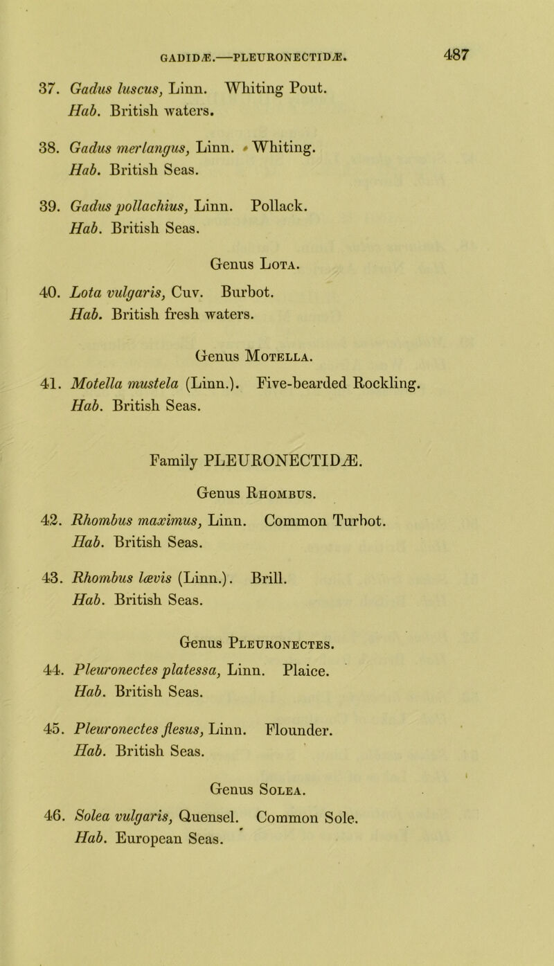 GAUID-E. PLEURONECTIDiE. 37. Gadus luscus, Linn. Whiting Pout. Hab. British waters. 38. Gadus merlangus, Linn. » Whiting. Hab. British Seas. 39. Gadus pollachius, Linn. Pollack. Hab. British Seas. Genus Lota. 40. Lota vulgaris} Cnv. Burbot. Hab. British fresh waters. Genus Motella. 41. Motella mustela (Linn.). Five-bearded Roclding. Hab. British Seas. Family PLEURONECTIDdE. Genus Rhombus. 42. Rhombus maximus, Linn. Common Turbot. Hab. British Seas. 43. Rhombus Icevis (Linn.). Brill. Hab. British Seas. Genus Pleuronectes. 44. Pleuronectes platessa, Linn. Plaice. Hab. British Seas. 45. Pleuronectes flesus, Linn. Flounder. Hab. British Seas. Genus Solea. 46. Solea vulgaris, Quensel. Common Sole. 0 Hab. European Seas.