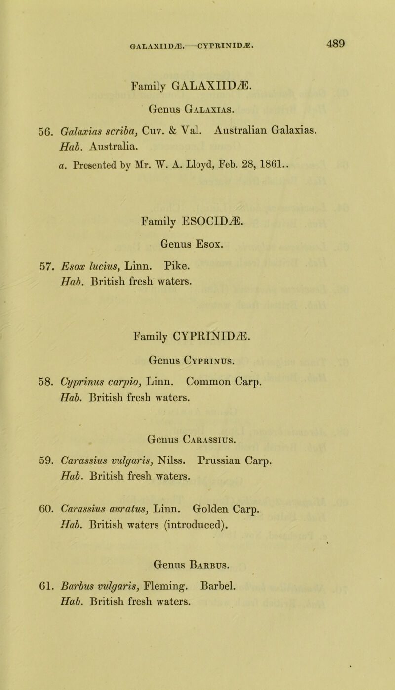 GALAXI1DA2. CYPRINIDA5. Family GALAXIIDiE. Genus Galaxias. 56. Galaxias scriba, Cuv. & Yal. Australian Galaxias. Hab. Australia. a. Presented by Mr. W. A. Lloyd, Feb. 28, 1861.. Family ESOCLCLE. Genus Esox. 57. Esox lucius, Linn. Pike. Hab. British fresh waters. Family CYPEINHEE. Genus Cyprinus. 58. Cyprinus carpio, Linn. Common Carp. Hab. British fresh waters. Genus Carassius. 59. Carassius vulgaris, Niks. Prussian Carp. Hab. British fresh waters. 60. Carassius auratus, Linn. Golden Carp. Hab. British waters (introduced). Genus Barbus. 61. Barbus vulgaris, Fleming. Barbel. Hab. British fresh waters.