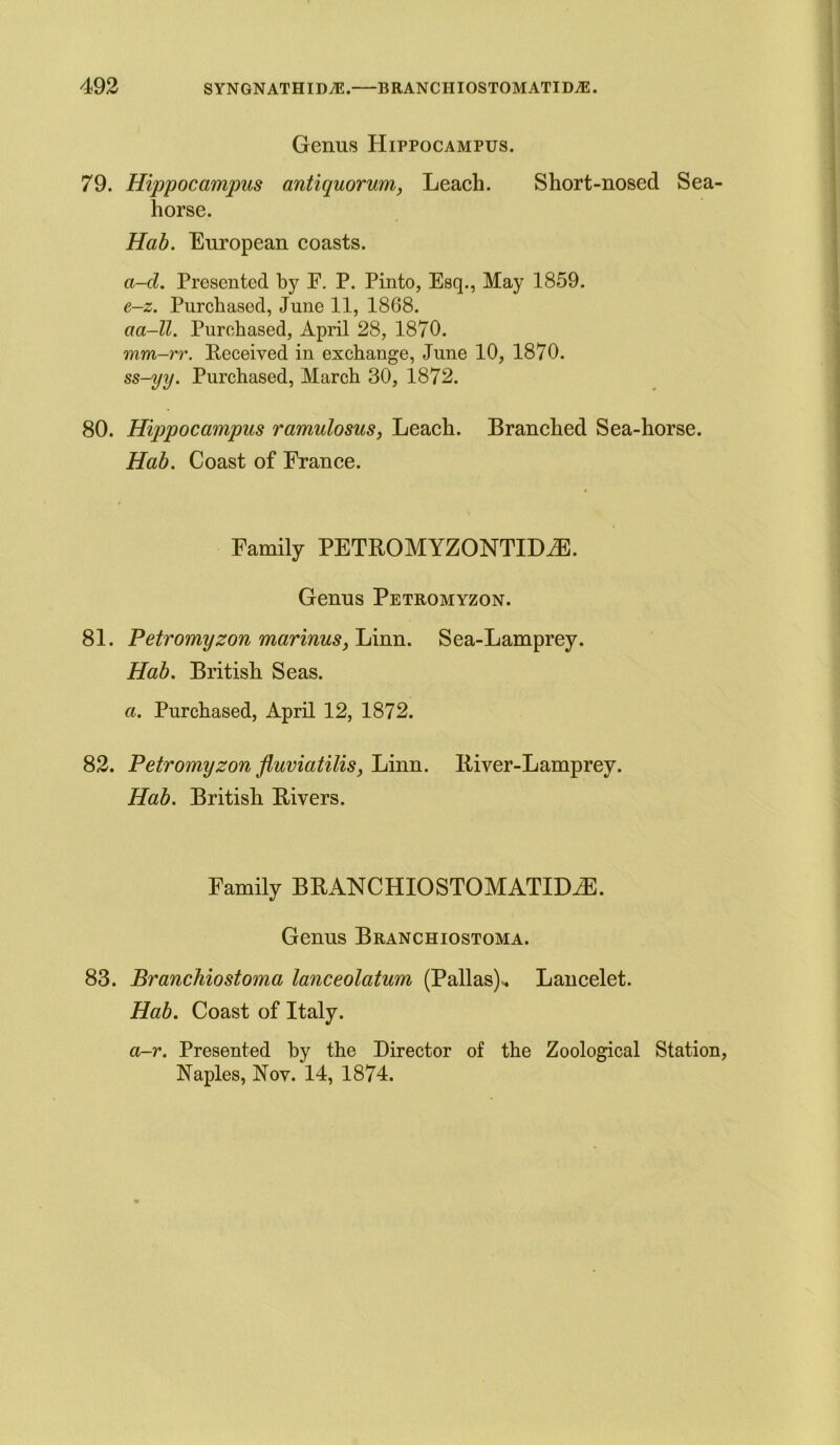 Genus Hippocampus. 79. Hippocampus antiquorum, Leach. Short-nosed Sea- horse. Hab. European coasts. a-cl. Presented by F. P. Pinto, Esq., May 1859. e-z. Purchased, June 11, 1868. aa-ll. Purchased, April 28, 1870. mm-rr. Received in exchange, June 10, 1870. ss-yy. Purchased, March 30, 1872. 80. Hippocampus ramulosus, Leach. Branched Sea-horse. Hab. Coast of France. Family PETROMYZONTIDiE. Genus Petromyzon. 81. Petromyzon marinus,lAxm. Sea-Lamprey. Hab. British Seas. a. Purchased, April 12, 1872. 82. Petromyzon fluviatilis, Linn. River-Lamprey. Hab. British Rivers. Family BRANC HIO STOM ATTLEE. Genus Branchiostoma. 83. Branchiostoma lanceolatum (Pallas)* Lancelet. Hab. Coast of Italy. a-r. Presented by the Director of the Zoological Station, Naples, Nov. 14, 1874.