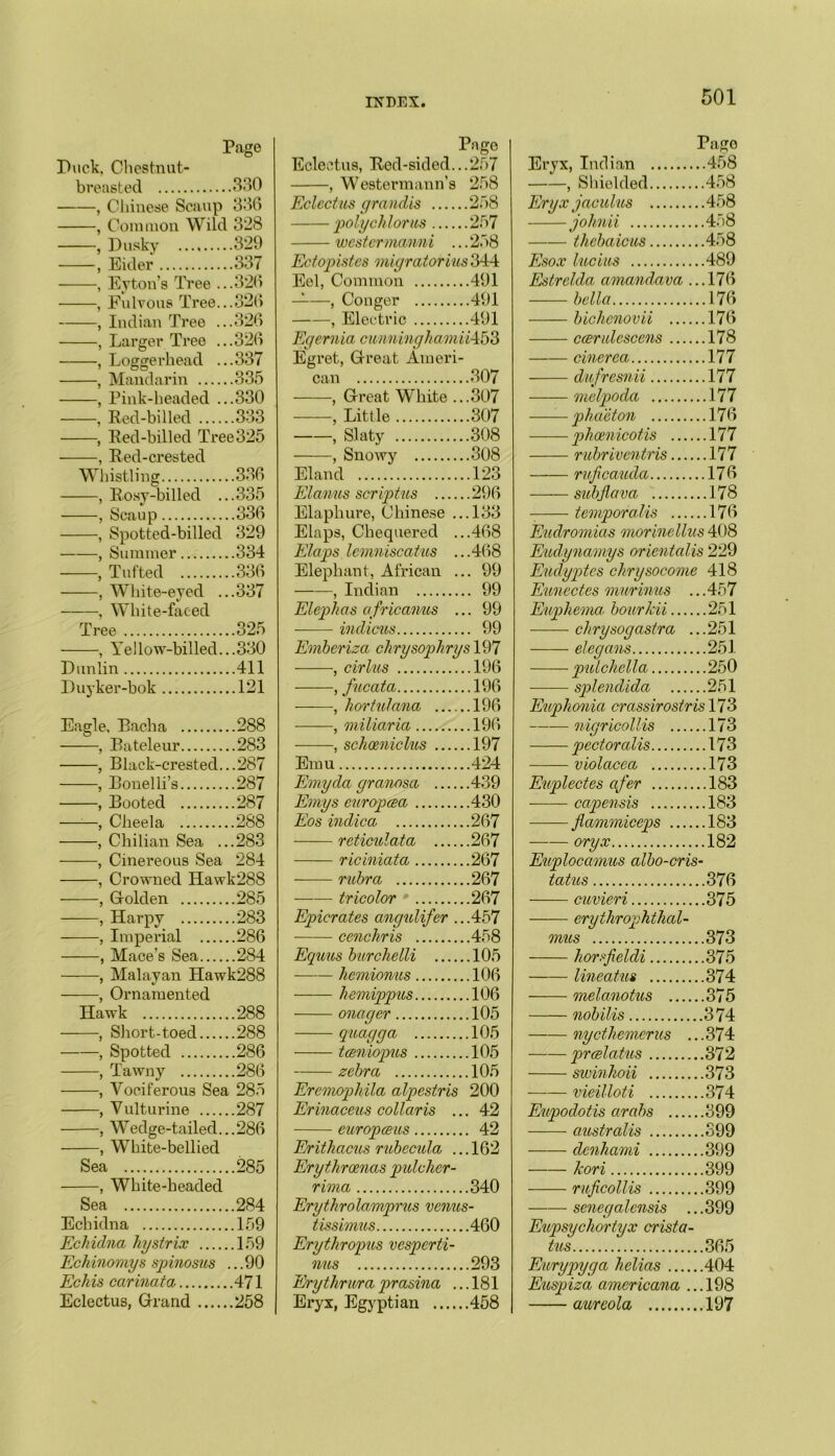 Page Duck. Chestnut- breasted ..330 , Chinese Scaup 336 , Common Wild 328 , Dusky ..329 , Eider ..337 , Eyton’s Tree . ..326 , Fulvous Tree. ..326 , Indian Tree . ..326 , Larger Tree . ..326 , Loggerhead . ...337 , Mandarin .... ...335 . Pink-headed . ...330 . Red-billecl ... ...333 , Red-billed Tree325 , Red-crested Whistling 336 , Rosy-billed ...335 , Scaup 336 , Spotted-billed 329 , Summer 334 , Tufted 336 , White-eyed ...337 , White-faced Tree 325 , Yellow-billed...330 Dunlin 411 Duyker-bok 121 Eagle, Dacha 288 , Bateleur 283 , Black-crestecl...287 , Bonelli’s 287 , Booted 287 , Cheela 288 , Chilian Sea ...283 , Cinereous Sea 284 , Crowned Hawk288 , Golden 285 , Harpy 283 , Imperial 286 , Mace’s Sea 284 , Malayan Hawk288 , Ornamented Hawk .288 , Short-toecl .288 , Spotted .286 , Tawny .286 , Vociferous Sea 285 , Vulturine .287 , Wedge-tailed... .286 , White-bellied Sea .285 , White-headed Sea .284 Echidna .159 Echidna hystrix .159 Echinomys spinosus ...90 Echis carinata .471 Eclectics, Grand .258 Pago Eclectics, Red-sided...257 , Westermann’s 258 Eclectics grandis 258 polychlortis 257 westcrmanni ... 258 Ectopistes migratorius 344 Eel, Common 491 — , Conger 491 , Electric 491 Egernia cunn high ami 7453 Egret, Great Ameri- can 307 , Great White ...307 , Little 307 , Slaty 308 , Snowy 308 Eland 123 Elanus scriptus 296 Elaphure, Chinese ...133 Elaps, Chequered ...468 Elaps lemniscatus ...468 Elephant, African ... 99 , Indian 99 Elephas africanus ... 99 indicns 99 Emberiza chrysophrysWYJ , cirlus 196 , fucata 196 , hortulana 196 , miliaria 196 , schoeniclus 197 Emu 424 Emycla granosa 439 Emys europcea 430 Eos indica 267 reticulata 267 riciniata 267 rubra 267 tricolor ' 267 Epicrates angulifer ...457 cenchris 458 Equus burchelli 105 hemionus 106 hemippus 106 onager 105 quagga 105 tceniopus 105 zebra 105 Ercmopliila alpestris 200 Erinaceus collaris ... 42 europceus 42 Erithacus rubecula ... 162 Erythroenas pulchcr- rima 340 Erythrolamprus venus- tissimus 460 Erythropus vesperti- nus 293 Erytlirura prasina ... 181 Eryx, Egyptian 458 Pago Eryx, Indian 458 , Shielded 458 Eryx jaculus 458 johnii 458 thebaicus 458 Esox lucius 489 Estrelda amandava ...176 bella 176 bichcnovii 176 ccernlesccns 178 cinerea 177 dufresnii 177 melpoda 177 phaeton 176 phoenicotis 177 rubriventris.. ....177 ruficauda 176 subjlava 178 temporalis 176 Eudromias morinellus 408 Eudynannys orientalis 229 Eudyptes chrysocome 418 Eunectes murinus ... 457 Euphema, bourhii 251 chrysogastra ... 251 elegans 251 pulchella 250 splendida 251 Euphonia crassirostris 173 nigricollis 173 pectoralis 173 violacea 173 Euplectes ctfer 183 capensis 183 flammiceps 183 oryx 182 Euplocamus albo-cris- tatus 376 cuvieri 375 erythrophthal- mus 373 horsfieldi 375 lineatus 374 melanotus 375 nobilis 374 nycthemerus ...374 prcelatus 372 swinkoii 373 vieilloti 374 Eupodotis arabs 399 australis 399 denhami 399 Jeori 399 ruficoll-is 399 senegalensis ...399 Eupsychortyx crista- tus 365 Eurypyga helias 404 Euspiza americana ...198 aureola 197