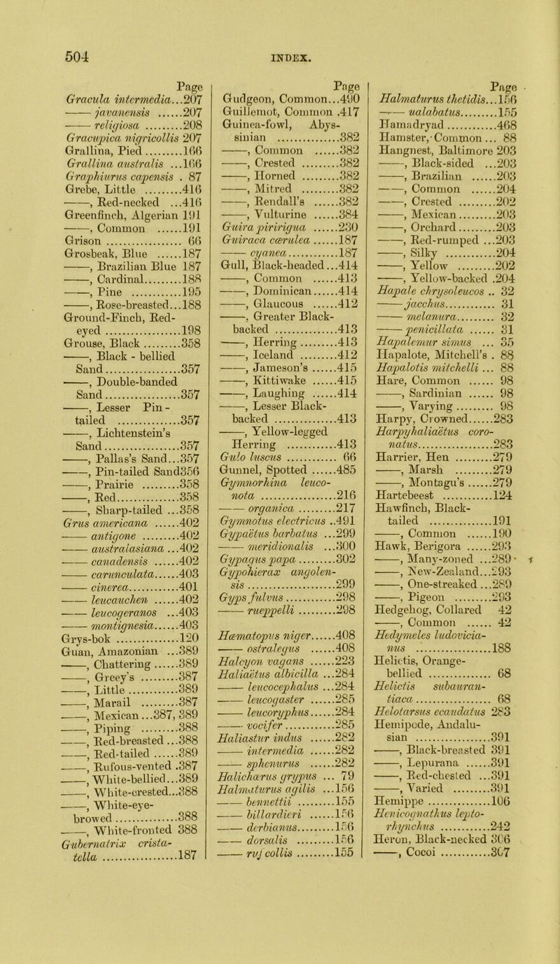 Page Gracula intermedia...207 javanensis 207 iqiosa 208 Gracupica nigricollis 207 Grallina, Pied 100 Grallina australis ...106 Graphiurus capensis . 87 Grebe, Little 416 , Red-necked ...416 Greenfinch, Algerian 191 , Common 191 Grison 66 Grosbeak, Bine 187 , Brazilian Blue 187 , Cardinal 188 , Pine 195 , Rose-breasted... 188 Ground-Finch, Red- eyed 198 Grouse, Black 358 , Black - bellied Sand 357 • , Double-banded Sand 357 , Lesser Pin - tailed 357 , Lichtenstein’s Sand 357 , Pallas’s Sand...357 • , Pin-tailed Sand356 , Prairie 358 , Red 358 Sharp-tailed ...358 Grus americana 402 antigone 402 australasiana ...402 canadensis 402 carunculata 403 cinerea 401 leucauclien 402 leucogeranos ...403 montignesia 403 Grys-bok 120 Giuan, Amazonian ...389 ——, Chattering 389 , Greey's 387 , Little 389 , Marail 387 , Mexican ...387, 389 , Piping 388 f Reel-breasted ...388 , Red-tailed 389 , Rufous-vented .387 5 White-bellied...389 , White-crested...388 , White-eye- browed 388 , White-fronted 388 Gubernatrix crista- tclla 187 Pago Gudgeon, Common...490 Guillemot, Common .417 Guinea-fowl, Abys- sinian 382 , Common 382 , Crested 382 , Horned 382 , Mitred 382 , Rendall’s 382 , Yulturine 384 Guira piririgua 230 Guiraca carulca 187 cyanea 187 Gull, Black-headed...414 , Common 413 , Dominican 414 , Glaucous 412 , Greater Black- backecl 413 , Herring 413 , Iceland 412 , Jameson’s 415 , Kit tiwake 415 , Laughing 414 , Lesser Black- backed 413 , Yellow-legged Herring 413 Gulo luscus 66 Gunnel, Spotted 485 Gymnorhina leuco- nota 216 organica 217 Gymnotus electricus ..491 Gypaetus barbaius ...299 meridiona l is ... 300 Gypagus papa 302 Gypohierax angolen- sis 299 Gyps fnlvus 298 rueppelli 298 Hamcitopvs niger 408 ostralegus 408 Halcyon vagans 223 Haliaetus albicilla ...284 leucocephalus ...284 leucogaster 285 leucoryphus 284 vocifer 285 Haliastur indus 282 intermedia 282 sphenurus 282 Halickeenis grypus ... 79 Halmaturus agilis ... 156 bennettii 155 billardicri 156 derbiamis 156 dorsalis 156 rvj collis 155 Pago Halmaturus thetidis.. .156 —*— ualabatus 155 Hamadryad 468 Hamster,• Common ... 88 Hangnest, Baltimore 203 , Black-sided ...203 , Brazilian 203 , Common 204 , Crested 202 , Mexican 203 , Orchard 203 , Red-rumped ...203 , Silky 204 , Yellow 202 , Yellowr-backed .204 Hapale chrysoleucos .. 32 jacchus 31 melanura 32 penicillata 31 Hapalemur simus ... 35 Hapalote, Mitchell’s . 8(8 Hapalotis mitchelli... 88 Hare, Common 98 , Sardinian 98 , Varying 98 Harpy, Crowned 283 Harpy haliaetus coro- natus 283 Harrier, Hen 279 , Marsh 279 , Montagu’s 279 Hartebeest 124 Hawfinch, Black- tailed 191 , Common 190 Hawk, Berigora 293 , Many-zoned ...289* , New-Zealand...293 , One-streaked ...289 , Pigeon 293 Hedgehog, Collared 42 , Common 42 Hcdymcles ludovicia- nus 188 Helictis, Orange- bellied 68 Helictis subauran- tiaca 68 Helotarsus ecaudahts 283 Hemipode, Andalu- sian 391 , Black-breasted 391 , Lepurana 391 , Red-chested ...391 , Varied 391 Hemippe 106 Hcvicognathus lepto- rhynchns 242 Heron, Black-necked 3C6 ■ , Cocoi 307