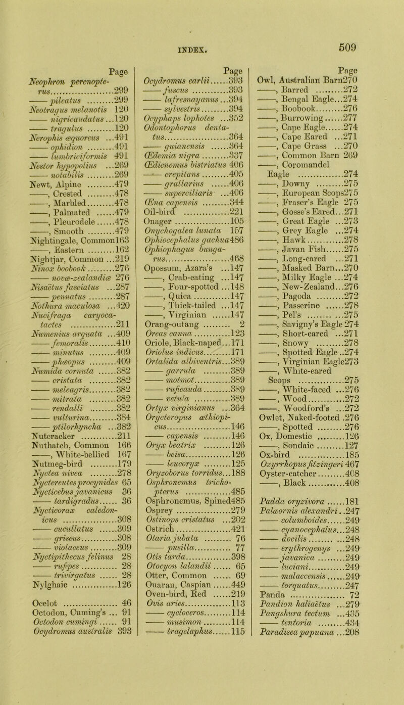 Neophron pcrcnopte- Page rus ..299 pilcatus ..299 Neotragus melanotis 120 nigricaudatus. ..120 tragulus 120 Nerophis cequorcus . ..491 ophidian ..491 lumbriciformis 491 Nestor hypopolius . ..269 notab ills ..269 Newt, Alpine ..479 , Crested ..478 , Marbled ..478 , Palmated .... ..479 , Pleurodele .... ..478 , Smooth ..479 Nightingale, Commonl63 , Eastern ..162 Nightjar, Common . ..219 Ninox boobook ..276 novce-zealan dice 276 Nisaetus fasciatus . ..287 - pennatus ...287 Nothura maculosa , ...420 Nucifraga caryoca- tactes 211 Numenius arquata .. .409 femoralis .410 minutus .409 phceopus .409 Numida cornuta .382 cristata .382 meleagris .382 mitrata .382 rendalli .382 vulturina .384 ptilorhyncha .. .382 Nutcracker .211 Nuthatch, Common 166 , White-bellied 167 Nutmeg-bird .179 Nyctea nivea .278 Nyctereutesprocynides 65 Nycticebus javanicus 36 to.rdigradus . 36 Nycticorax caledon- icas .308 —— cucullatus .309 —— griseus .308 violaceus .309 Nyctipithecus felinus 28 rufpes . 28 —— trivirgatus . 28 Nylghaie .126 Ocelot 46 Octoclon, Cuming’s ... 91 Octodon cumingi 91 Ocydromus australis 393 Pago Ocydromus carlii .393 f'USCUS .393 lafresnayanus.. .394 sylvestris 394 Ocyphaps lophotes .. .352 Odontophorus denta tus .364 guiancnsis .364 (Edemia nigra .337 (Edicnemus bistriatus 406 —*— crepitans .405 grallarms .406 supcrciliaris .. .406 (Ena capensis .344 Oil-bird .221 Onager .105 Onychogalea lunata 157 Ophiocephalus gachua48G Ophiophagus bung a- rus .468 Opossum, Azara’s .. .147 , Crab-eating .. .147 , Four-spotted .. .148 , Quica .147 , Thick-tailed .. , Virginian • 147 .147 Orang-outang . 2 Oreas canna .123 Oriole, Black-naped.. .171 Oriolus indicus .171 Ortalida albiventris.. .389 garrula .389 motmot .389 ruficauda .389 vetula .389 Ortyx virginianus .. .364 Orycteropus cethiopv- cus 146 capensis 146 Oryx beatrix 126 beisa 126 leucoryx 125 Oryzoborus torridus... 188 Osphronemus tricho- pterus 485 Osphronemus, Spinecl485 Osprey 279 Ostinops cristatus ... 202 Ostrich 421 Otariajubata 76 pusilla 77 Otis tarda 398 Otocyon lalandii 65 Otter, Common 69 Ouaran, Caspian 449 Oven-bird, Red 219 Ovis aries 113 cycloceros 114 musimon ... 114 iragclaphus 115 Page Owl, Australian Barn270 , Barred 272 , Bengal Eagle...274 , Boobook 276 , Burrowing 277 , Cape Eagle 274 —*—, Cape Eared ...271 , Cape Grass ...270 , Common Barn 269 , Coromandel Eagle 274 -—, Downy 275 , European Scops275 , Fraser’s Eagle 275 , Gosse’sEared...271 , Great Eagle ...273 , Grey Eagle ...274 -, Hawk 27S , Javan Fish 275 , Long-eared ...271 , Masked Barn...270 -, Milky Eagle ...274 -, New-Zealand...276 -, Pagoda 272 -, Passerine ......278 , Pel's 275 -, Savigny’s Eagle 274 -, Short-eared ...271 Snowy 278 -, Spotted Eagle..274 -, Virginian Eagle273 -, White-eared Scops .275 , White-faced .. .276 , Wood .272 , Woodford’s .. .272 Owlet, Naked-footed .276 , Spotted .276 Ox, Domestic .126 , Sondaic .127 Ox-bird .185 Oxyrrhopus fitzingerx :467 Oyster-catcher .408 , Black .408 Padda oryzivora .181 Palasornis alexandri. .247 columboides .249 cy anoccphalus.. .248 docilis .248 erythrogenys .. .249 javanica .249 luciani .249 malacccnsis .249 torquatus .247 Panda . 72 Pandion haliaetus .. .279 Pangshura tectum .. .435 tentoria .434 Paradisea papuana .. .208