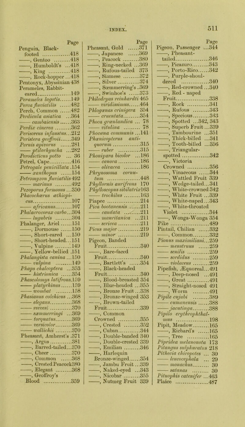 Page Penguin, Black- footed 418 , Gentoo 418 , Humboldt’s ...418 , King 418 , Rock-hopper ...418 Pentonyx, Abyssinian 438 Perameles, Rabbit- eared 149 Perameles lagotis 149 Perea Jluviatilis 482 Perch, Common 482 Perdicida asiatica ...364 cambaiensis 363 Perdue cinerea 362 Perisoreus infaustus.. .212 Pcristera geoffroii 349 Pernis apivorus 281 ptilorhyncha .. .282 Perodicticus potto ... 36 Petrel. Cape 416 Petrogale pcnicillata .154 xanthopus 154 Petromyzon jluviatilis 492 mar inus 492 Pezoporus formosus ...350 Phacochcerus (Ethiopi- ans 107 africanus 107 Phalacrocorax carbo.. .304 lugubris 304 Phalanger, Ariel 151 , Dormouse 150 , Short-eared ...150 , Short-headed... 151 , Vulpine .149 , Yellow-bellied .151 Phalangista canina ...150 vulpina 149 Phaps chalcoptera ...353 histrionica 354 Phascolomys latifrons. 159 platyrhimis 159 wombat 158 Phasianus colchicus ...368 elegans 368 reevesi 370 soemmerringi ... 369 torquatus 369 versicolor 369 wallichii 370 Pheasant, Amherst’s .371 , Argus 381 , Barred-tailed...370 , Cheer 370 , Common 368 , Crested Peacock380 , Elegant 368 , Geolfroy’s Blood 359 Page Pheasant, Gold .371 , Japanese , Peacock ..380 , Ring-necked ., ..369 , Rut'ous-tailed 373 , Siamese ..372 , Silver ..374 , Soemmerring’s ..369 , Swinhoe’s ..373 Philodryas reinhardti 465 viridissimus Phlogoenas crinigera 354 cruentata ..354 Phoca grcenlandica . .. 78 vital in a .. 78 Phoccena communis . ..141 P hemic ojj terns anti- quorum ..315 ruber ..315 Phonipara bicolor . ..186 canora ..186 olivacea ..186 Phrynosoma cornu■ turn ..448 Phyllornis awrifrons 170 Phy Hose opus sibilatrix 163 trochilus ..163 Piapec ..214 Pica bootanensis ..211 caudata ..211 mauritanica . ..211 sericea ..211 Picus major ..219 minor ..219 Pigeon, Banded Fruit ..340 , Bare-faced Fruit ..340 , Bartlett’s .... ..354 , Black-headed Fruit ..340 , Blood-breasted 354 , Blue-headed . ..355 , Bronze Fruit. ..338 , Bronze-winged 353 , Brown-tailed Fruit 339 , Common Crowned 355 , Crested 352 , Cuban 344 , Double-banc!ed 340 , Double-crested 339 , Emilian 346 , Harlequin Bronze-winged 354 , Jambu Fruit ...339 , Naked-eyed ...343 , Nicobar 355 , Nutmeg Fruit 339 Page Pigeon, Passenger ...344 , Pheasant- tailed 346 , Picazuro 343 , Porto-Rico 342 , Purple-shoul- dered 340 , Red-crowned ...340 , Red - naped Fruit 338 , Rock 341 , Rufous 343 , Specious 343 , Spotted ...342,343 , Superb Fruit ...339 , Tambourine ...351 -, Thick-billed ...341 Tooth-billed ...356 , Triangular- spotted 342 —, Victoria Crowned 356 —, Vinaceous 344 —, Wattled Fruit 339 —, Wedge-tailed...341 —, White-crownecl 342 —, White Fruit ...339 —, White-napecl.. .343 —, White-throated Violet 344 —, Wonga-Wonga 354 Pike 489 Pintail, Chilian 332 , Common 332 Pionus maximiliani.. .259 menstruus 259 senilis 259 sordidus 259 violaceus 259 Pipefish, iEquoreal...491 , Deep-nosed ...491 , Great 491 , Straight-nosed 491 , Worm 491 Pipile cujubi 389 cumanensis 388 jacutinga 388 Pipilo erythrophthal- mus 198 Pipit, Meadow 165 , Richard’s 165 ——, Tree 165 Pipridea melanonota 173 Pitangus sulphuratus 21S Pithccia chiropotes ... 30 leucocepjhala ... 29 monachus 30 sat anas 30 Pituophis catenifer ...463 Plaice 487