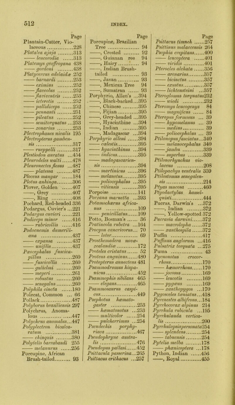 Page Plantain-Cutter, Vio- laceous ..228 Platalea ajaja ..313 leucorodia ..313 Platcmys geoffroyana 438 gordoni ..438 Platy cere us adelaidee 252 barnardi .253 cximius ..252 flavcolus .252 Jlaviventris .253 icterotis .252 pallid,iceps .252 pennanti .251 pile at us .252 semitorquatus.. .253 zonarius .253 Plectrophanes nivalis 195 Plectropterus garnben- sis .317 rueppelli .317 Plestiodon auratus .. .454 Pleurodcles walti .478 Pleuronectes Jlcsus .. .487 platessa .487 Ploceus manyar .184 Plotus anhinga .306 Plover, Golden .407 , Grey .407 , .408 Pochard, Red-headed 336 Podargus, Cuvier’s .. .221 Podargus cuvieri .221 Podiceps minor .416 rubricollis .416 Podocnemis dumerili - ana .437 expansa .437 unifilis .437 Pceocephalus fuscica - pillus .260 fuscicollis .260 gulielmi .260 meyeri .261 robustus .260 scneqalus .260 Poephila cincta .ISO Polecat, Common .. . 66 Pollack .437 Polyborus brasiliensis 297 Polychrus, Anoma- lous .447 Polychrus anomalies.. .447 Polyplectron bicalca■ ratum .381 chinquis .380 Polytelis barrabandi 255 melanurus 256 Porcupine, African Brush-tailed 93 Page Porcupine, Brazilian Tree 94 , Crested 92 , Guianan ree 94 , Hairy 94 , Indian Brush- tailed 93 , Javan 93 , Mexican Tree 94 , Sumatran 93 Porphyrio, Allen’s ...394 . , Black-backed...395 , Chinese 395 , Fijian 395 , Grey-headed ...395 , Hyacinthine ...394 , Indian 395 , Madagascar ...394 Porphyrio alleni 394 ccelestis 395 hyacinthinus ...394 indie us 395 madagascarien- sis 394 martinicus 396 melanotus 395 poliocephalus ...395 vitiensis 395 Porpoise 141 Porzana maruetta ...393 Potamochoerus africa- nus 109 penicillatus 109 Potto, Bosnian's 36 Pratincola rubetra ...164 Procyon cancrivorus... 70 lotor 69 Prosthemadera novee- zealandice 172 Proteles cristatus 52 Proteus cmguinus 480 Protopterus annectens 481 Psammodromus hispa- nicus 452 Psammophis sibilans 465 elegans 465 Psammosaurus caspi- cus 449 Psephotus hcemato- gaster .....253 hcematonotus ...253 multicolor 254 pulcherrimus ... 254 Pseudechis porphy- riaca 467 Pscudophryne austra- lis 476 Pseudopus pal Iasi 452 Psittacula passerina.. .265 Psittacus crithacus ... 257 Page Psittacus timneh 2.r>7 Psittinus malaccensis 264 Psophia crepitans 400 leucoptera 401 viridis 401 Pteroclcs alchata 356 arenarius 357 bicinctus 357 exustus 357 lichtensteini ...357 Pteroglossus torquatusT62 wiedi 232 Pteromys leucogenys 84 magnijicus 84 Pteropusformosus ... 39 hypomelanus ... 39 medius 39 poliocephalus ... 39 Ptilonopusfasciatus.. .340 melanocephalus 340 jambu 339 superbus 339 Ptilonorhynchus vio- laceus 208 Ptilopachys ventralis 359 Ptilostomus senegalen- sis 214 Ptyas mucosa 460 Ptyodactylus hassel- quisti .444 Pucras, Darwin’s .. .372 , Indian .372 , Yellow-spotted 372 Pucrasia darwini .372 macrolopha .372 xanthospila .372 Puffin .417 Pujfinus any Ionian .. .416 Pulsatrix torquata .. .275 Puma . 43 Pycnonotus crocor rhous .170 hcemorrhous .170 jocosus .169 leucotis .169 pyg®us .169 xanthopygos .. .170 Pygosceles tceniatus.. .418 Pyrcncstes albifrons... .184 Pyrrhocorax alpinus 214 Pyrrhula rubicula .. .195 Pyrrhulauda vertica- ls 200 Pyrrhulopsispersonata'Pd\ splcndcns 254 tabuensis 254 Pytelia melba 178 phoenicoptera ... 178 Python, Indian 456 , Bioyal 455