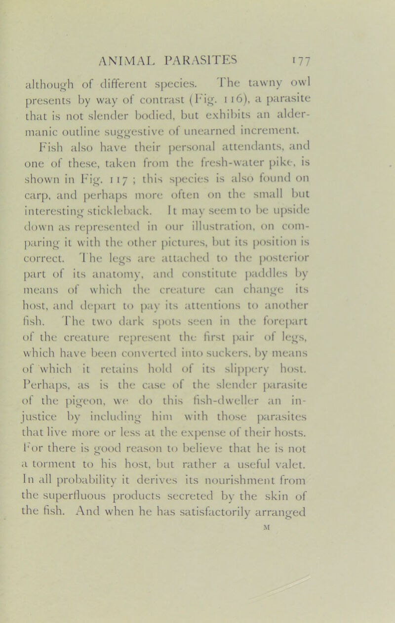 although of different species. 1 he tawny owl presents by way of contrast (Pig. 1 16), a parasite that is not slender bodied, but exhibits an alder- manic outline suggestive of unearned increment. Fish also have their personal attendants, and one of these, taken from the fresh-water pike, is shown in P ig. 117 ; this species is also found on carp, and perhaps more often on the small but interesting stickleback. It may seem to be upside down as represented in our illustration, on com- paring it with the other pictures, but its position is correct. The legs are attached to the posterior part of its anatomy, and constitute paddles by means of which the creature can change its host, and depart to pay its attentions to another fish. The two dark spots seen in the forepart of the creature represent the first pair of legs, which have been converted into suckers, by means of which it retains hold of its slippery host. Perhaps, as is the case of the slender parasite of the pigeon, we do this fish-dweller an in- justice by including him with those parasites that live more or less at the expense of their hosts. For there is good reason to believe that he is not a torment to his host, but rather a useful valet. In all probability it derives its nourishment from the superfluous products secreted by the skin of the fish. And when he has satisfactorily arranged M