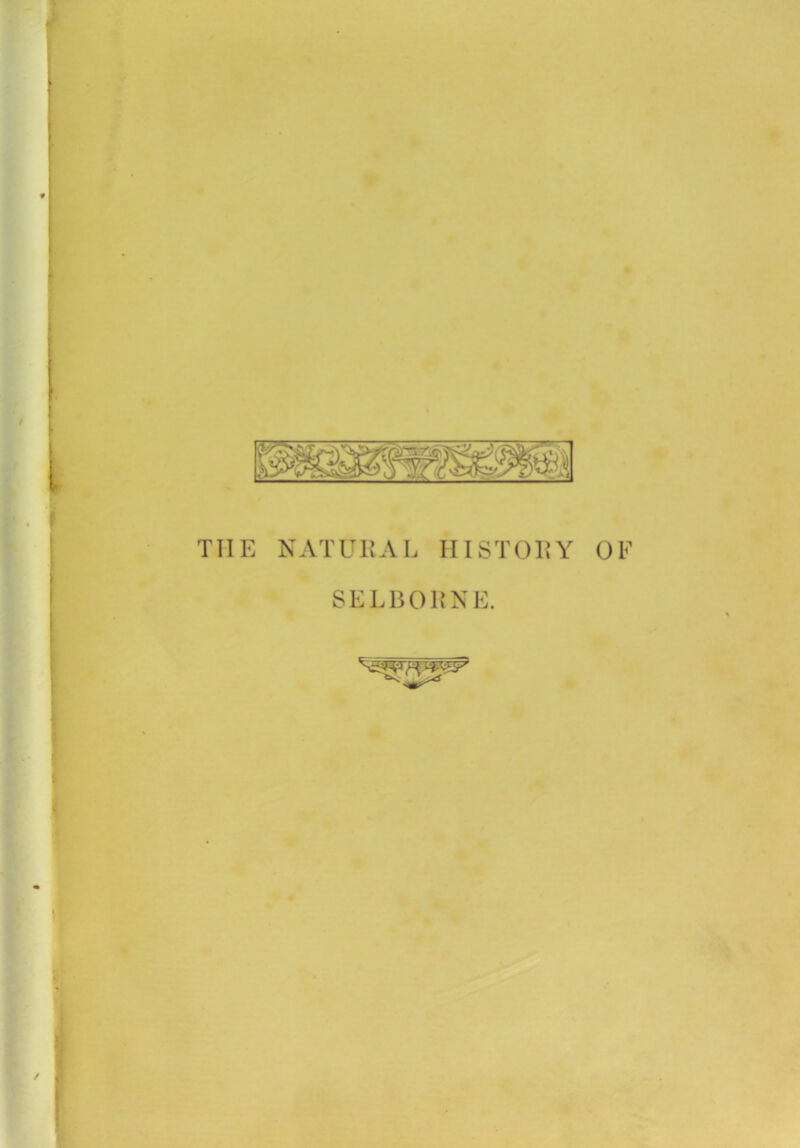 THE NATURAL HISTORY OF SET BORNE. I