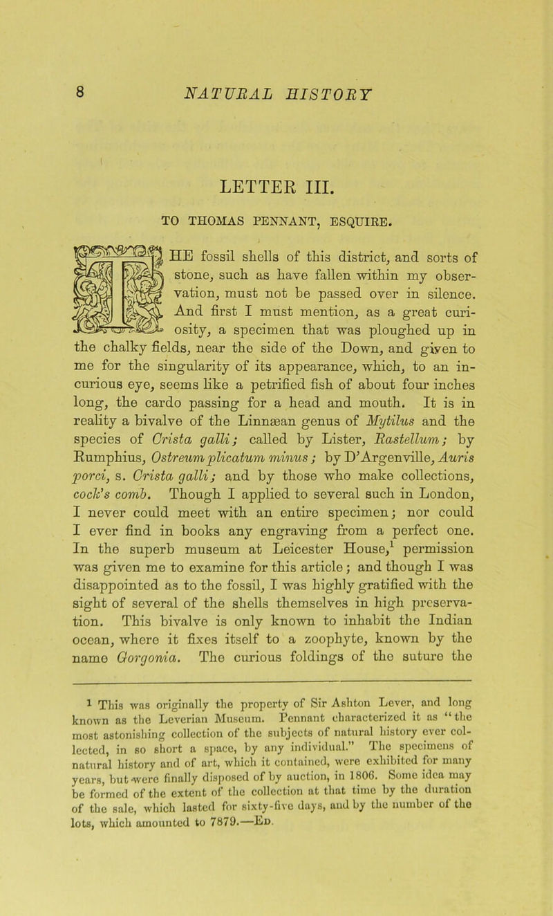 LETTER III. TO THOMAS PENNANT, ESQUIRE. HE fossil shells of this district, and sorts of stone, such as have fallen within my obser- vation, must not be passed over in silence. And first I must mention, as a great curi- osity, a specimen that was ploughed up in the chalky fields, near the side of the Down, and given to me for the singularity of its appearance, which, to an in- curious eye, seems like a petrified fish of about four inches long, the cardo passing for a head and mouth. It is in reality a bivalve of the Linna3an genus of Mytilus and the species of Crista galli; called by Lister, Rastellum; by Rumphius, Ostreum plicatum minus ; by D’Argenville, Auris porci, s. Crista galli; and by those who make collections, cock’s comb. Though I applied to several such in London, I never could meet with an entire specimen; nor could I ever find in books any engraving from a perfect one. In the superb museum at Leicester House,1 permission was given me to examine for this article; and though I was disappointed as to the fossil, I was highly gratified with the sight of several of the shells themselves in high preserva- tion. This bivalve is only known to inhabit the Indian ocean, where it fixes itself to a zoophyte, known by the name Gorgonia. The curious foldings of the suture the 1 This was originally the property of Sir Ashton Lever, and long known as the Leverian Museum. Pennant characterized it as “the most astonishing collection of the subjects of natural history ever col- lected, in so short a space, by any individual.” The specimens of natural history and of art, which it contained, were exhibited for many years, but were finally disposed of by auction, in 1806. Some idea may be formed of the extent of the collection at that time by the duration of the sale, which lasted for sixty-five days, and by the number of the lots, which amounted to 7879.—Li>.