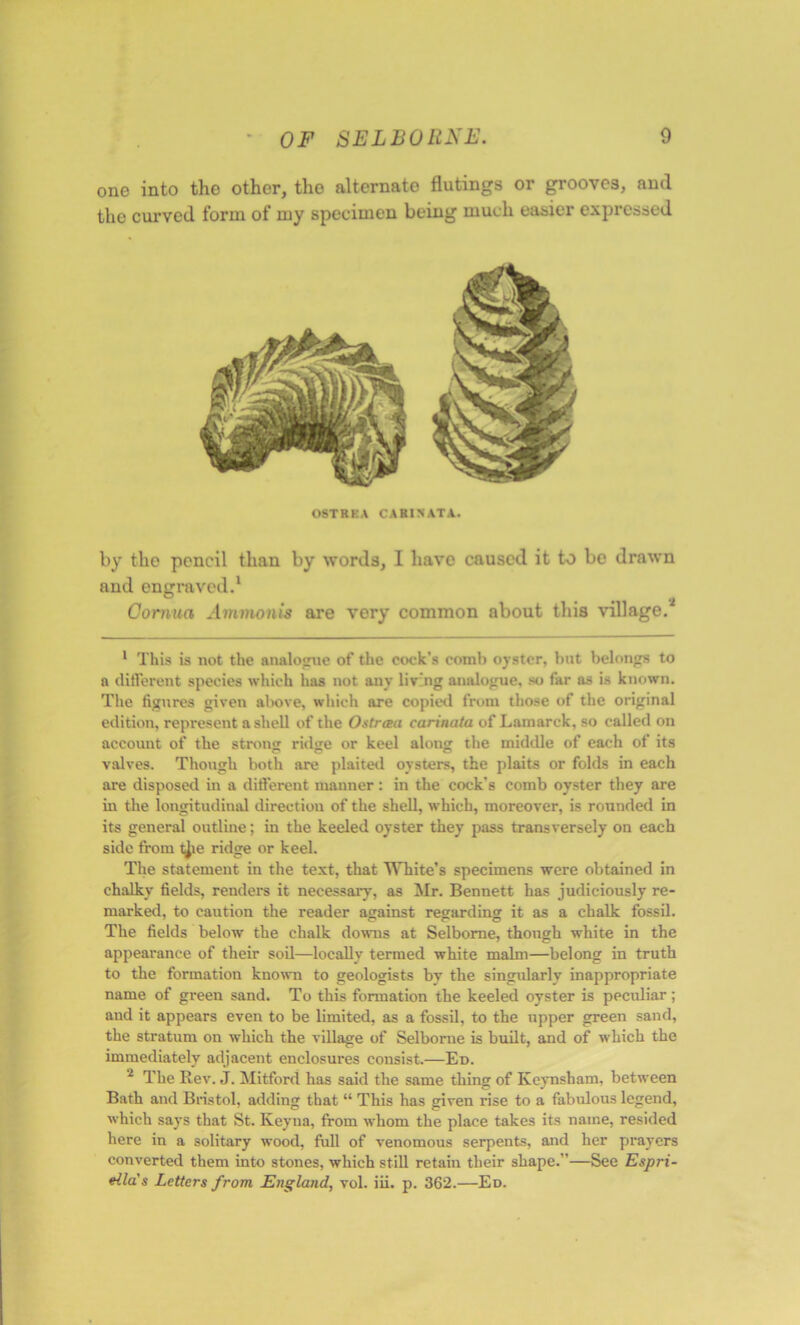 one into the other, the alternate flutings or grooves, and the curved form of my specimen being much easier expressed OSTRKA CARINATA. by the pencil than by words, I have caused it to be drawn and engraved.1 Cornua Ammonis are very common about this village.2 1 This is not the analogue of the cock’s comb oyster, but belongs to a different species which has not any living analogue, so far as is known. The figures given above, which are copied from those of the original edition, represent a shell of the Outran carinata of Lamarck, so called on account of the strong ridge or keel along the middle of each of its valves. Though both are plaited oysters, the plaits or folds in each are disposed in a different manner : in the cock’s comb oyster they are in the longitudinal direction of the shell, which, moreover, is rounded in its general outline; in the keeled oyster they pass transversely on each side from t^ie ridge or keel. The statement in the text, that 'White’s specimens were obtained in chalky fields, renders it necessary, as Mr. Bennett has judiciously re- marked, to caution the reader against regarding it as a chalk fossil. The fields below the chalk downs at Selbome, though white in the appearance of their soil—locally termed white malm—belong in truth to the formation known to geologists by the singularly inappropriate name of green sand. To this formation the keeled oyster is peculiar; and it appears even to be limited, as a fossil, to the upper green sand, the stratum on which the village of Selbome is built, and of which the immediately adjacent enclosures consist.—Ed. 2 The Rev. J. Mitford has said the same thing of Keynsham, between Bath and Bristol, adding that “ This has given rise to a fabulous legend, which says that St. Keyua, from whom the place takes its name, resided here in a solitary wood, full of venomous serpents, and her prayers converted them into stones, which still retain their shape.”—See Espri- eila's Letters from England, vol. iii. p. 362.—Ed.