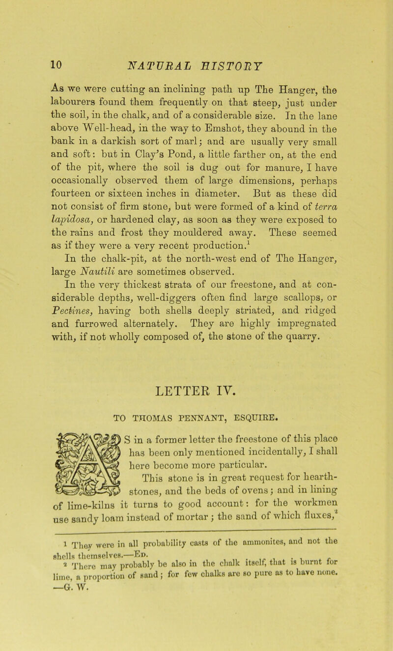 As we were cutting an inclining patli up The Hanger, the labourers found them frequently on that steep, just under the soil, in the chalk, and of a considerable size. In the lane above Well-head, in the way to Emshot, they abound in the bank in a darkish sort of marl; and are usually very small and soft: but in Clay’s Pond, a little farther on, at the end of the pit, where the soil is dug out for manure, I have occasionally observed them of large dimensions, perhaps fourteen or sixteen inches in diameter. But as these did not consist of firm stone, but were formed of a kind of terra lapidosa, or hardened clay, as soon as they were exposed to the rains and frost they mouldered away. These seemed as if they were a very recent production.* 1 In the chalk-pit, at the north-west end of The Hanger, large Nautili are sometimes observed. In the very thickest strata of our freestone, and at con- siderable depths, well-diggers often find large scallops, or Pectines, having both shells deeply striated, and ridged and furrowed alternately. They are highly impregnated with, if not wholly composed of, the stone of the quarry. LETTER IV. TO THOMAS PENNANT, ESQUIRE. S in a former letter the freestone of this place has been only mentioned incidentally, I shall here become more particular. This stone is in great i*equest for hearth- stones, and the beds of ovens; and in lining of lime-kilns it turns to good account: for the workmen use sandy loam instead of mortar ; the sand of which fluxes/ 1 They were in all probability casts of the ammonites, and not the shells themselves.—Ed. , „ . , i 'phere may probably be also in the chalk itself, that is burnt lor lime, a proportion of sand ; for few chalks are so pure as to have none. —G. W.