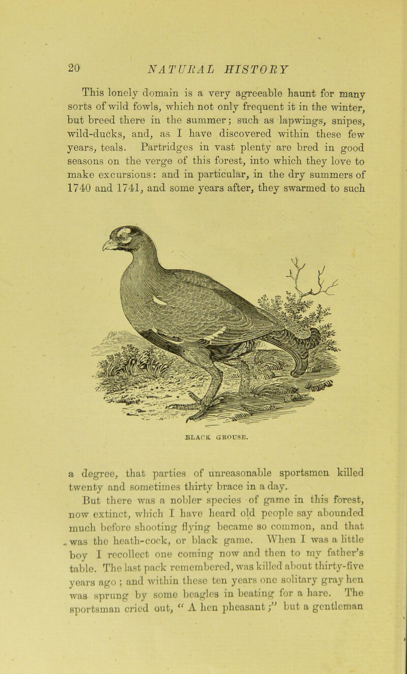 This lonely domain is a very agreeable haunt for many sorts of wild fowls, which not only frequent it in the winter, but breed there in the summer; such as lapwings, snipes, wild-ducks, and, as I have discovered within these few years, teals. Partridges in vast plenty are bred in good seasons on the verge of this forest, into which they love to make excursions: and in particular, in the dry summers of 1740 and 1741, and some years after, they swarmed to such BLACK. GROUSE. a degree, that parties of unreasonable sportsmen killed twenty and sometimes thirty brace in a day. But there was a nobler species of game in this forest, now extinct, which I have heard old people say abounded much before shooting flying became so common, and that .was the heath-cock, or black game. When I was a little boy I recollect one coining now and then to rnv father’s table. The last pack remembered, was killed about thirty-five years ago ; and within these ten years one solitary gray hen was sprung by some beagles in beating lor a hare. 1 he sportsman cried out, “ A lien pheasant; but a gentleman