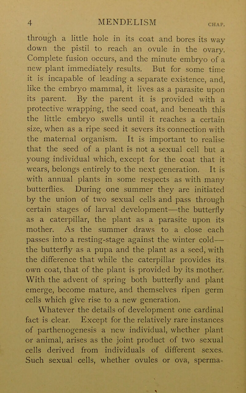 CHAP. through a little hole in its coat and bores its way down the pistil to reach an ovule in the ovary. Complete fusion occurs, and the minute embryo of a new plant immediately results. But for some time it is' incapable of leading a separate existence, and, like the embryo mammal, it lives as a parasite upon its parent. By the parent it is provided with a protective wrapping, the seed coat, and beneath this the little embryo swells until it reaches a certain size, when as a ripe seed it severs its connection with the maternal organism. It is important to realise that the seed of a plant is not a sexual cell but a young individual which, except for the coat that it wears, belongs entirely to the next generation. It is with annual plants in some respects as with many butterflies. During one summer they are initiated by the union of two sexual cells and pass through certain stages of larval development—the butterfly as a caterpillar, the plant as a parasite upon its mother. As the summer draws to a close each passes into a resting-stage against the winter cold— the butterfly as a pupa and the plant as a seed, with the difference that while the caterpillar provides its. own coat, that of the plant is provided by its mother. With the advent of spring both butterfly and plant emerge, become mature, and themselves ripen germ cells which give rise to a new generation. Whatever the details of development one cardinal fact is clear. Except for the relatively rare instances of parthenogenesis a new individual, whether plant or animal, arises as the joint product of two sexual cells derived from individuals of different sexes. Such sexual cells, whether ovules or ova, sperma-