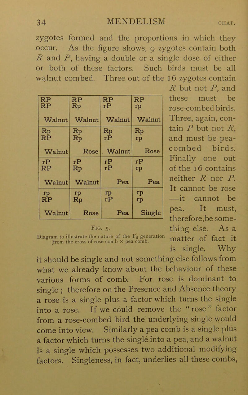 zygotes formed and the proportions in which they occur. As the figure shows, 9 zygotes contain both R and P, having a double or a single dose of either or both of these factors. Such birds must be all walnut combed. Three out of the 16 zygotes contain R but not P, and these must be rose-combed birds. Three, again, con- tain P but not R, and must be pea- combed birds. Finally one out of the 16 contains neither R nor P. It cannot be rose -—it cannot be pea. It must, therefore,be some- Fig. 5. thing else. As a Diagram to illustrate the nature of the F2 generation if [from the cross of rose comb X pea comb. IIld.LLCI IdCL IL is single. Why it should be single and not something else follows from what we already know about the behaviour of these various forms of comb. For rose is dominant to single ; therefore on the Presence and Absence theory a rose is a single plus a factor which turns the single into a rose. If we could remove the “ rose ” factor from a rose-combed bird the underlying single would come into view. Similarly a pea comb is a single plus a factor which turns the single into a pea, and a walnut is a single which possesses two additional modifying factors. Singleness, in fact, underlies all these combs. RP RP RP RP RP Rp rP rp Walnut Walnut Walnut Walnut Rp Rp Rp Rp RP Rp rP rp Walnut Rose Walnut Rose rP rP rP rP RP Rp rP rp Walnut Walnut Pea Pea rp rp rp rp RP Rp rP rp Walnut Rose Pea Single