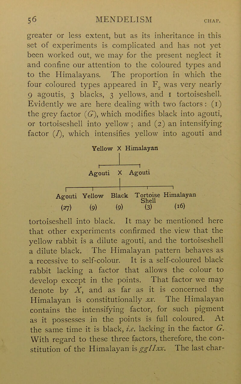 greater or less extent, but as its inheritance in this set of experiments is complicated and has not yet been worked out, we may for the present neglect it and confine our attention to the coloured types and to the Himalayans. The proportion in which the four coloured types appeared in was very nearly 9 agoutis, 3 blacks, 3 yellows, and i tortoiseshell. Evidently we are here dealing with two factors; (i) the grey factor (G), which modifies black into agouti, or tortoiseshell into yellow ; and (2) an intensifying factor (/), which intensifies yellow into agouti and Yellow X Himalayan Agouti X Agouti Agouti Yellow Black Tortoise Himalayan Shell (27) (9) (9) (3) (16) tortoiseshell into black. It may be mentioned here that other experiments confirmed the view that the yellow rabbit is a dilute agouti, and the tortoiseshell a dilute black. The Himalayan pattern behaves as a recessive to self-colour. It is a self-coloured black rabbit lacking a factor that allows the colour to develop except in the points. That factor we may denote by X, and as far as it is concerned the Himalayan is constitutionally xr. The Himalayan contains the intensifying factor, for such pigment as it possesses in the points is full coloured. At the same time it is black, i.e. lacking in the factor G. With regard to these three factors, therefore, the con- stitution of the Himalayan isggHxx. The last char-