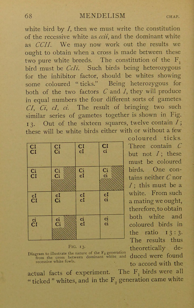 white bird by /, then we must write the constitution of the recessive white as ccii, and the dominant white as CCII. We may now work out the results we ought to obtain when a cross is made between these two pure white breeds. The constitution of the bird must be Ccli. Such birds being heterozygous for the inhibitor factor, should be whites showing some coloured “ ticks.” Being heterozygous for both of the two factors C and /, they will produce in equal numbers the four different sorts of gametes Cl, Ci, cl, ci. The result of bringing two such similar series of gametes together is shown in Fig. 13. Out of the sixteen squares, twelve contain/; these will be white birds either with or without a few coloured ticks. Three contain C but not I; these must be coloured birds. One con- tains neither C nor /; this must be a white. From such a mating we ought, therefore, to obtain both white and coloured birds in the ratio 13:3. The results thus theoretically de- duced were found to accord with the actual facts of experiment. The F^ birds were all “ ticked ” whites, and in the generation came white CI CI CI Ci CI cl CI ci Ci Ci Ci Ci CI Ci^™ cl ci cl cl cl cl CI Ci cl ci ci ci ci ci CI cl ci Fig. 13. Diagram to illustrate the nature of the Fa generation from the cross between dominant while and recessive white fowls.