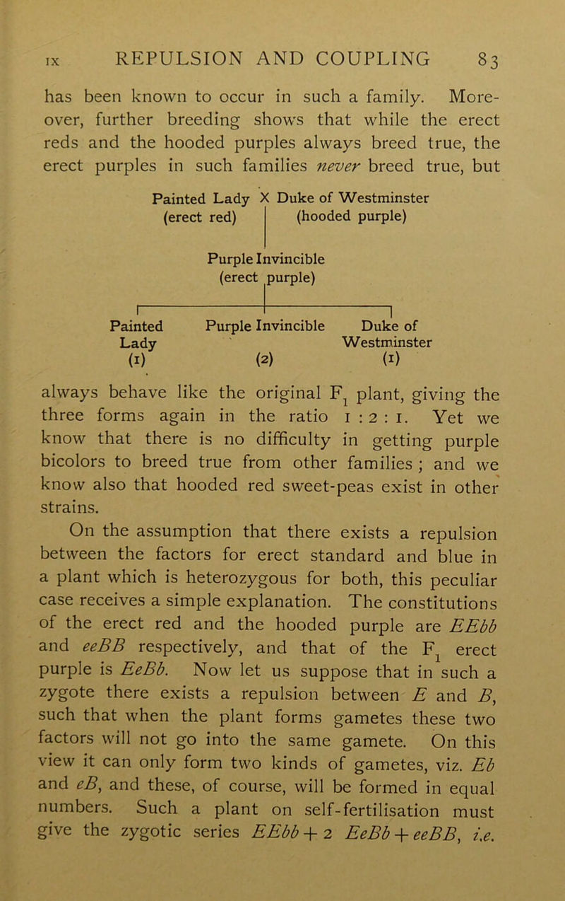 has been known to occur in such a family. More- over, further breeding shows that while the erect reds and the hooded purples always breed true, the erect purples in such families never breed true, but Painted Lady (erect red) X Duke of Westminster (hooded purple) Purple Invincible (erect purple) Painted Purple Invincible Duke of Lady Westminster (I) (2) (I) always behave like the original plant, giving the three forms again in the ratio i : 2 : i. Yet we know that there is no difficulty in getting purple bicolors to breed true from other families ; and we know also that hooded red sweet-peas exist in other strains. On the assumption that there exists a repulsion between the factors for erect standard and blue in a plant which is heterozygous for both, this peculiar case receives a simple explanation. The constitutions of the erect red and the hooded purple are EEbb and eeBB respectively, and that of the erect purple is EeBb. Now let us suppose that in such a zygote there exists a repulsion between E and B, such that when the plant forms gametes these two factors will not go into the same gamete. On this view it can only form two kinds of gametes, viz. Eb and eB^ and these, of course, will be formed in equal numbers. Such a plant on self-fertilisation must give the zygotic series EEbb -f 2 EeBb -f eeBB, ix.