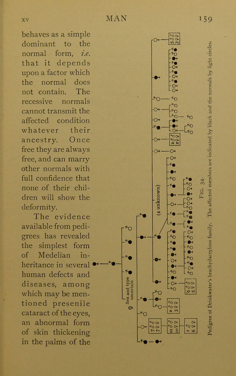 behaves as a simple dominant to the normal form, i.e. that it depends upon a factor which the normal does not contain. The recessive normals cannot transmit the affected condition whatever their ancestry. Once free they are always free, and can marry other normals with full confidence that none of their chil- dren will show the deformity. The evidence available from pedi- grees has revealed the simplest form of Medelian in- heritance in several human defects and diseases, among which may be men- tioned presenile cataract of the eyes, an abnormal form of skin thickening in the palms of the a >>■ a nj T3 u B 0> rt O Lx § 4> (/) Ov >s a S o c (U rt o 'C C O ^ o> u 43 H o rt >> 43 U ci u ,n cj '3