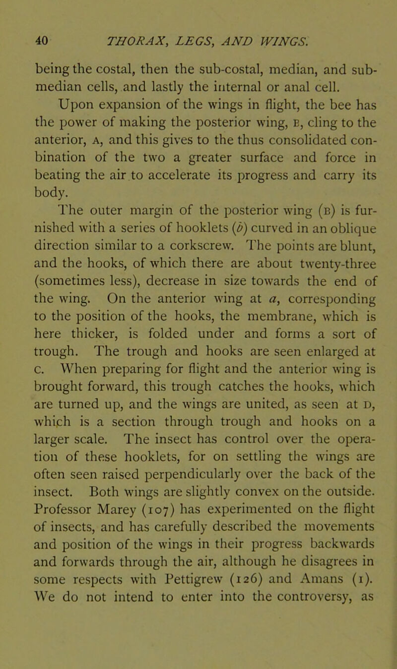 being the costal, then the sub-costal, median, and sub- median cells, and lastly the internal or anal cell. Upon expansion of the wings in flight, the bee has the power of making the posterior wing, E, cling to the anterior, a, and this gives to the thus consolidated con- bination of the two a greater surface and force in beating the air to accelerate its progress and carry its body. The outer margin of the posterior wing (b) is fur- nished with a series of hooklets (b) curved in an oblique direction similar to a corkscrew. The points are blunt, and the hooks, of which there are about twenty-three (sometimes less), decrease in size towards the end of the wing. On the anterior wing at a, corresponding to the position of the hooks, the membrane, which is here thicker, is folded under and forms a sort of trough. The trough and hooks are seen enlarged at c. When preparing for flight and the anterior wing is brought forward, this trough catches the hooks, which are turned up, and the wings are united, as seen at D, whiph is a section through trough and hooks on a larger scale. The insect has control over the opera- tion of these hooklets, for on settling the wings are often seen raised perpendicularly over the back of the insect. Both wings are slightly convex on the outside. Professor Marey (107) has experimented on the flight of insects, and has carefully described the movements and position of the wings in their progress backwards and forwards through the air, although he disagrees in some respects with Pettigrew (126) and Amans (1). We do not intend to enter into the controversy, as