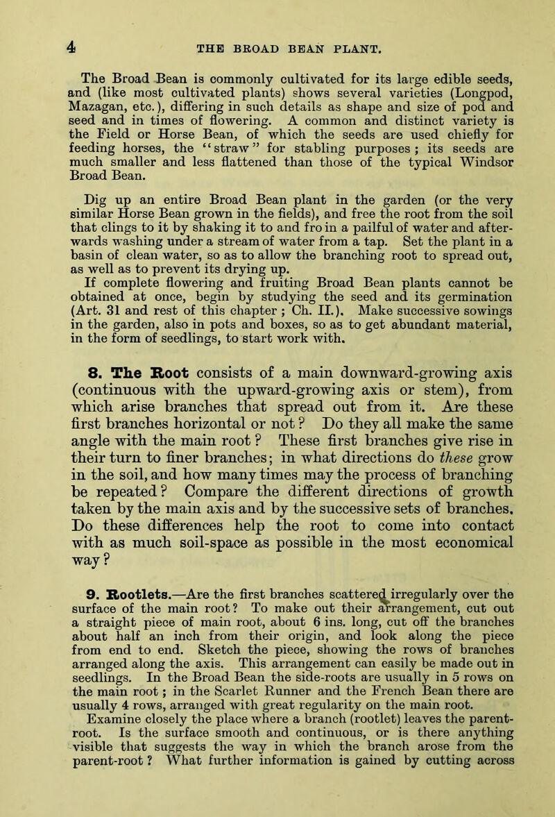 The Broad Bean is commonly cultivated for its large edible seeds, and (like most cultivated plants) shows several varieties (Longpod, Mazagan, etc.), differing in such details as shape and size of pod and seed and in times of flowering. A common and distinct variety is the Field or Horse Bean, of which the seeds are used chiefly for feeding horses, the ‘1 straw ” for stabling purposes ; its seeds are much smaller and less flattened than those of the typical Windsor Broad Bean. Dig up an entire Broad Bean plant in the garden (or the very similar Horse Bean grown in the fields), and free the root from the soil that clings to it by shaking it to and fro in a pailful of water and after- wards washing under a stream of water from a tap. Set the plant in a basin of clean water, so as to allow the branching root to spread out, as well as to prevent its drying up. If complete flowering and fruiting Broad Bean plants cannot be obtained at once, begin by studying the seed and its germination (Art. 31 and rest of this chapter ; Ch. II.), Make successive sowings in the garden, also in pots and boxes, so as to get abundant material, in the form of seedlings, to start work with. 8. The Root consists of a main downward-growing axis (continuous witli the upward-growing axis or stem), from which arise branches that spread out from it. Are these first branches horizontal or not ? Do they all make the same angle with the main root ? These first branches give rise in their turn to finer branches; in what directions do these grow in the soil, and how many times may the process of branching be repeated? Compare the different directions of growth taken by the main axis and by the successive sets of branches. Do these differences help the root to come into contact with as much soil-space as possible in the most economical way? 9. Rootlets.—Are the first branches scattered irregularly over the surface of the main root? To make out their arrangement, cut out a straight piece of main root, about 6 ins. long, cut off the branches about half an inch from their origin, and look along the piece from end to end. Sketch the piece, showing the rows of branches arranged along the axis. This arrangement can easily be made out in seedlings. In the Broad Bean the side-roots are usually in 5 rows on the main root; in the Scarlet Runner and the French Bean there are usually 4 rows, arranged with great regularity on the main root. Examine closely the place where a branch (rootlet) leaves the parent- root. Is the surface smooth and continuous, or is there anything visible that suggests the way in which the branch arose from the parent-root ? What further information is gained by cutting across