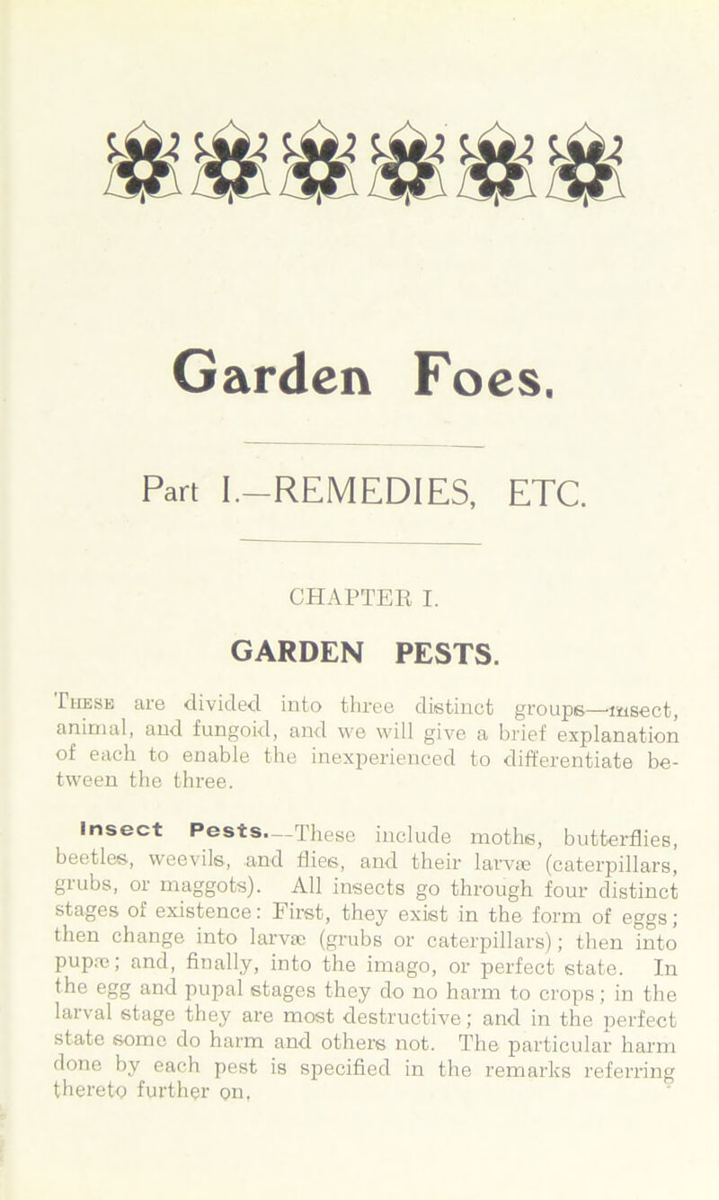 Garden Foes. Part I.-REMEDIES, ETC. CHAPTER I. GARDEN PESTS. Thesk are divided into three distinct groups—'msect, animal, and fungoid, and we will give a brief explanation of each to enable the inexperienced to differentiate be- tween the three. Insect Pests.—These include moths, butterflies, beetles, weevils, .and flies, and their larvae (caterpillars, giubs, or maggots). All insects go through four distinct stages of existence; First, they exist in the form of eggs; then change into larvae (grubs or caterpillars); then into pupae; and, finally, into the imago, or perfect state. In the egg and pupal stages they do no harm to crops; in the larval stage they are most destructive; and in the perfect state some do harm and others not. The particular harm done by each pest is S23ecified in the remarks referring thereto further on,