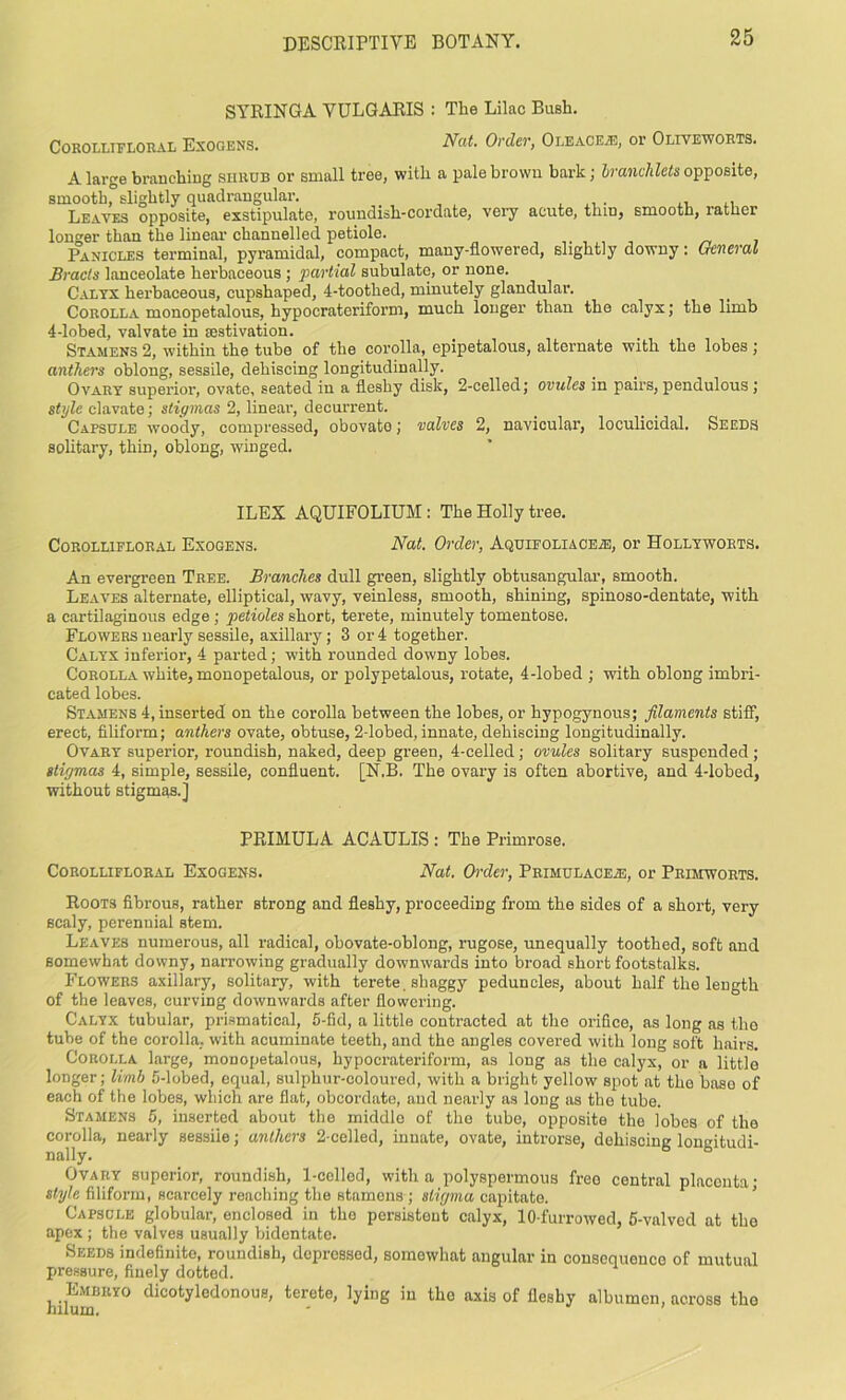 SYRINGA VULGARIS : The Lilac Bush. Corollifloral Exogens. Nat. Order, Oleace.®, or Oliveworts. A large branching surub or small tree, with a pale brown bark; hranchlets opposite, smooth, slightly quadrangular. ,, ,, Leaves opposite, exstipulate, roundish-cordate, very acute, tlnu, smooth, rather longer than the lineal- channelled petiole. Panicles terminal, pyramidal, compact, many-flowered, slightly downy: General Bracts lanceolate herbaceous ; partial subulate, or none. Calyx herbaceous, cupshaped, 4-toothed, minutely glandular. Corolla monopetalous, hypocrateriform, much longer than the calyx; the limb 4-lobed, valvate in aestivation. Stamens 2, within the tube of the corolla, epipetalous, alternate with the lobes ; anthers oblong, sessile, dehiscing longitudinally. Ovary superior, ovate, seated in a fleshy disk, 2-celled; ovules in pairs, pendulous ; style clavate; stigmas 2, lineal-, decurrent. Capsule woody, compressed, obovate; valves 2, navicular, loculicidal. Seeds solitary, thin, oblong, winged. ILEX AQUIFOLIUM : The Holly tree. Corollifloral Exogens. Nat. Order, Aquifoliace®, or Hollyworts. An evergreen Tree. Branches dull green, slightly obtusangular, smooth. Leaves alternate, elliptical, wavy, veinless, smooth, shining, spinoso-dentate, with a cartilaginous edge ; petioles short, terete, minutely tomentose. Flowers nearly sessile, axillary; 3 or 4 together. Calyx inferior, 4 parted; with rounded downy lobes. Corolla white, monopetalous, or polypetalous, rotate, 4-lobed ; with oblong imbri- cated lobes. Stamens 4, inserted on the corolla between the lobes, or hypogynous; filaments stiff, erect, filiform; anthers ovate, obtuse, 2-lobed, innate, dehiscing longitudinally. Ovary superior, roundish, naked, deep green, 4-celled; ovules solitary suspended; stigmas 4, simple, sessile, confluent. [N.B. The ovary is often abortive, and 4-lobed, without stigmas.] PRIMULA ACAULIS : The Primrose. Corollifloral Exogens. Nat. Order, Primulaoe®, or Primworts. Roots fibrous, rather strong and fleshy, proceeding from the sides of a short, very scaly, perennial stem. Leaves numerous, all radical, ohovate-oblong, rugose, unequally toothed, soft and somewhat downy, narrowing gradually downwards into broad short footstalks. Flowers axillary, solitary, with terete, shaggy peduncles, about half the length of the leaves, curving downwards after flowering. Calyx tubular, prismatical, 5-fid, a little contracted at the orifice, as long as the tube of the corolla, with acuminate teeth, and the angles covered with long soft hairs. Corolla large, monopetalous, hypocrateriform, as long as the calyx, or a little longer; limb 5-lobed, equal, sulphur-coloured, with a bright yellow spot at the baso of each of the lobes, which are flat, obcordate, and nearly as long as the tube. Stamens 5, inserted about the middlo of the tube, opposite the lobes of the corolla, nearly sessile; anthers 2-celled, innate, ovate, introrse, dehiscing longitudi- nally. ° Ovary superior, roundish, 1-cellod, with a polyspermous free central placenta; style filiform, scarcely reaching the stamens; stigma capitate. Capscle globular, enclosed in the persistent calyx, 10-furrowed, 5-valved at the apex ; the valves usually bidentate. Seeds indefinite, roundish, doprossed, somewhat angular in consequenco of mutual pressure, finely dotted. Embryo dicotyledonous, terete, lying in the axis of fleshy albumen, across tho