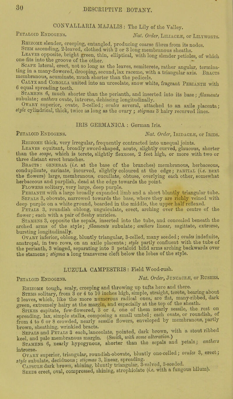 CON VALLARIA MAJALIS : The Lily of the Valley. Petaloid Endogens. Nat. Order, Liliaceze, or Lilywohts. Rhizome slender, creeping, entangled, producing coarse fibres from its nodes. Stem ascending, 2-leaved, clothed with 2 or 3 long membranous sheaths. Leaves opposite, bright green, thin, elliptical, with long slender petioles, of which one fits into the groove of the other. - Scape lateral, erect, not so long as the leaves, semiterete, rather angular, termina- ting in a many-flowered, drooping, secund,lax raceme, with a triangular axis. Bracts membranous, acuminate, much shorter than the pedicels. Calyx and Corolla united into an urceolate, snow white, fragrant Perianth with 6 equal spreading teeth. Stamens 6, much shorter than the perianth, and inserted into its base; filaments subulate; anthers ovate, introrse, dehiscing longitudinally. Ovary superior, ovate, 3-celled; ovules several, attached to an axile placenta; style cylindrical, thick, twice as long as the ovary ; stigmas 3 hairy recurved lines. IRIS GERMANICA : German Iris. Petaloid Endogens. Nat. Order, Iridaceze, or Irids. Rhizome thick, very irregular, frequently contracted into unequal joints. Leaves equitant, broadly sword-shaped, acute, slightly curved, glaucous, shorter than the scape, which is terete, slightly flexuose, 2 feet high, or more with two or three distant erect branches. Bracts : general (i.e. at the base of the branches) membranous, herbaceous, conduplicate, carinate, incurved, slightly coloured at the edge; partial {i.e. next the flowers) large, membranous, cucullate, obtuse, overlying each other, somewhat herbaceous and purplish, dead at the edge towards the point. Flowers solitary, very large, deep purple. Perianth with a large broadly expanded limb and a short bluntly triangular tube. Sepals 3, obovate, narrowed towards the base, where they are richly veined with deep purple on a white ground, bearded in the middle, the upper half reflexed. Petals 3, roundish oblong, unguiculate, erect, arching over the centre of the flower; each with a pair of fleshy auricles. Stamens 3, opposite the sepals, inserted into the tube, and concealed beneath the arched arms of the style; filaments subulate; anthers linear, sagittate, extrorse, bursting longitudinally. Ovary inferior, oblong, bluntly triangular, 3-celled, many seeded; ovules indefinite, auatropal, in two rows, on an axile placenta; style partly confluent with the tube of the perianth, 3 winged, separating into 3 petaloid bifid arms arching backwards over the stamens; stigma a long transverse cleft below the lobes of the style. LUZULA CAMPESTRIS : Field Wood-rush. Petaloid Endogens. Nat. Order, Juncaceze, or Rushes. Rhizome tough, scaly, creeping and throwing up tufts here and there. Stems solitary, from 3 or 4 to 10 inches high, simple, straight, terete, bearing about 2 leaves, which, like the more numerous radical ones, are flat, many-ribbed, daik green, extremely hairy at the margin, and especially at the top of the sheath. Spikes capitate, few-flowered, 3 or 4, one of them nearly sessile, the rest on spreading, lax, simple stalks, composing a small umbel; each ovate, or roundish, of from 4 to 6 or 8 crowded, nearly sessile flowers, enveloped by membranous, partly brown, sheathing, wrinkled bracts. , , Sepals and Petals 3 each, lanceolate, pointed, dark brown, with a stout ribbed keel, and pale membranous margin. (Smith, with some alteration.) Stamens 6, nearly hypogynous, shorter than the sepals and petals; antheis Ovary superior, triangular, roundish-obovate, bluntly one-celled; ovules 3, erect; style subulate, deciduous; stigmas 3, linear, spreading. Capsule dark brown, shining, bluntly triangular, 3-vnlvcd, 3-seeded. Seeds erect, oval, compressed, shining, strophiolate (i.e. with a fungous huum).