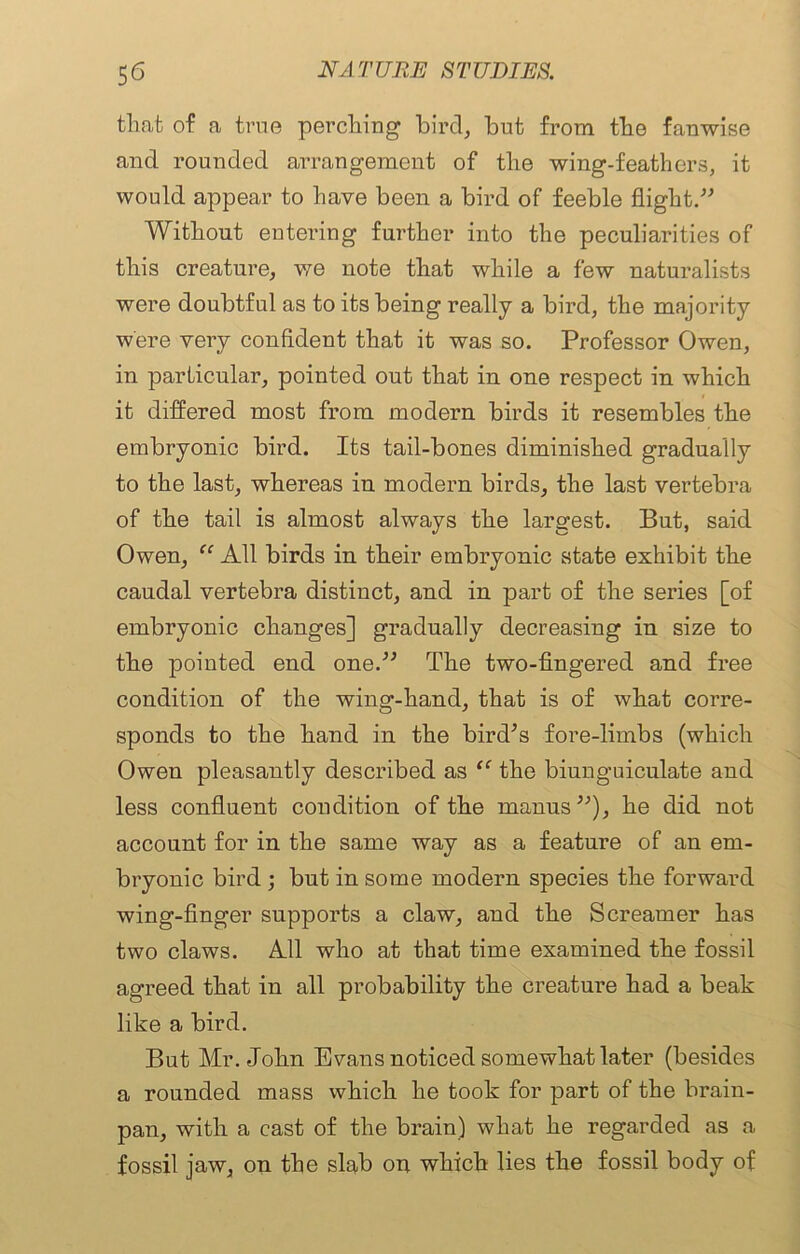 that of a true perching bird, but from the fanwise and rounded arrangement of the wing-feathers, it would appear to have been a bird of feeble flight/-’ Without entering further into the peculiarities of this creature, we note that while a few naturalists were doubtful as to its being really a bird, the majority were very confident that it was so. Professor Owen, in particular, pointed out that in one respect in which it differed most from modern birds it resembles the embryonic bird. Its tail-bones diminished gradually to the last, whereas in modern birds, the last vertebra of the tail is almost always the largest. But, said Owen, u All birds in their embryonic state exhibit the caudal vertebra distinct, and in part of the series [of embryonic changes] gradually decreasing in size to the pointed end one.” The two-fingered and free condition of the wing-hand, that is of what corre- sponds to the hand in the bird’s fore-limbs (which Owen pleasantly described as “ the biunguiculate and less confluent condition of the rnanus”), he did not account for in the same way as a feature of an em- bryonic bird ; but in some modern species the forward wing-finger supports a claw, and the Screamer has two claws. All who at that time examined the fossil agreed that in all probability the creature had a beak like a bird. But Mr. John Evans noticed somewhat later (besides a rounded mass which he took for part of the brain- pan, with a cast of the brain) what he regarded as a fossil jaw, on the slab on which lies the fossil body of