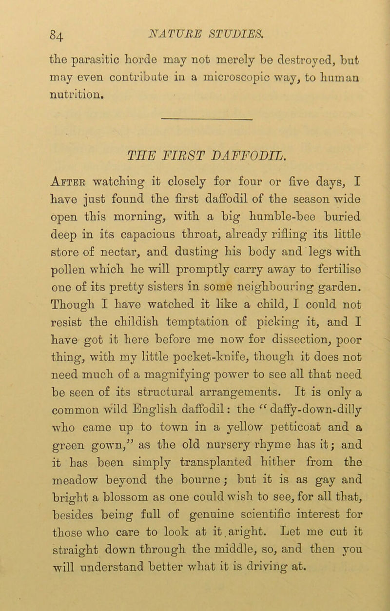 the parasitic horde may not merely be destroyed, but may even contribute in a microscopic way, to human nutrition. TEE FIRST DAFFODIL. After watching it closely for four or five days, I have just found the first daffodil of the season wide open this morning, with a big humble-bee buried deep in its capacious throat, already rifling its little store of nectar, and dusting his body and legs with pollen which he will promptly carry away to fertilise one of its pretty sisters in some neighbouring garden. Though I have watched it like a child, I could not resist the childish temptation of picking it, and I have got it here before me now for dissection, poor thing, with my little pocket-knife, though it does not need much of a magnifying power to see all that need be seen of its structural arrangements. It is only a common wild English daffodil: the “ daffy-down-dilly who came up to town in a yellow petticoat and a green gown,” as the old nursery rhyme has it; and it has been simply transplanted hither from the meadow beyond the bourne; but it is as gay and bright a blossom as one could wish to see, for all that, besides being full of genuine scientific interest for those who care to look at it. aright. Let me cut it straight down through the middle, so, and then you will understand better what it is driving at.