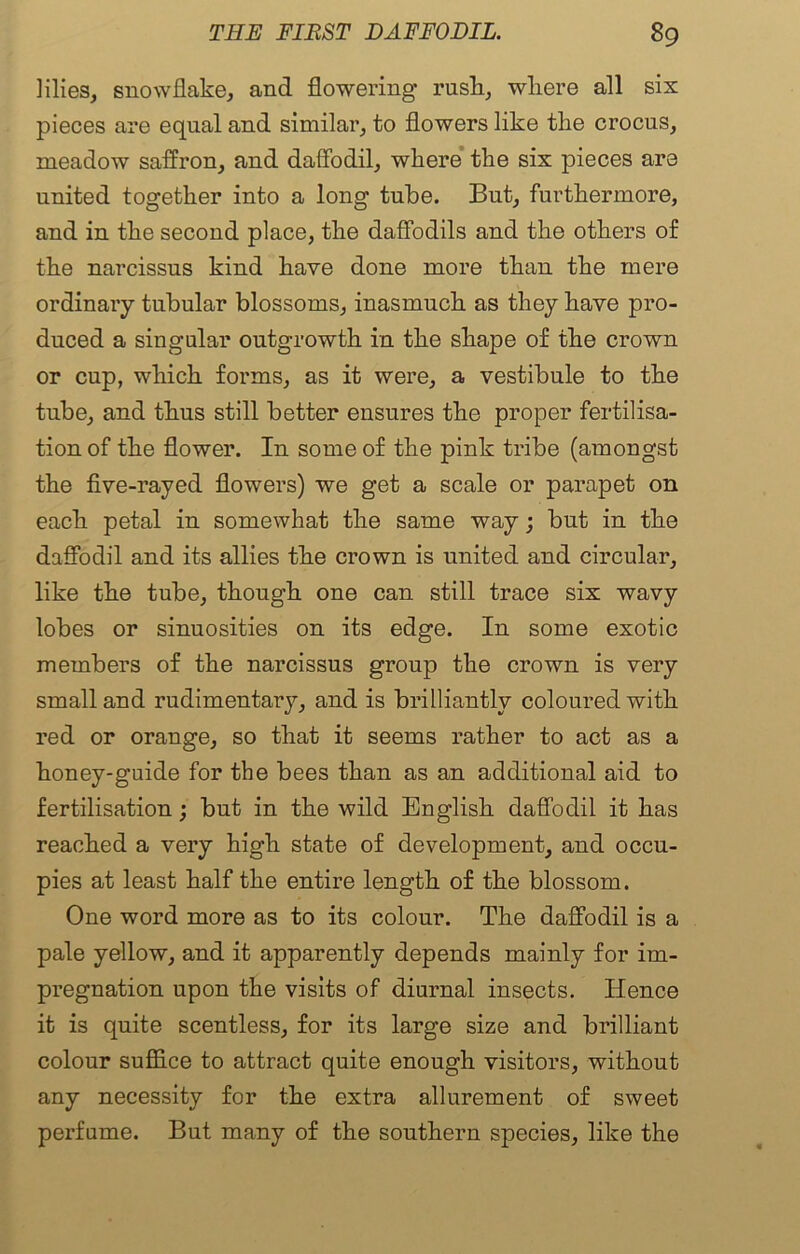 lilies, snowflake, and flowering rusk, wkere all six pieces are equal and similar, to flowers like the crocus, meadow saffron, and daffodil, wkere tke six pieces are united togetker into a long tube. But, furtkermore, and in tke second place, tke daffodils and tke otliers of tke narcissus kind have done more tkan tke mere ordinary tubular blossoms, inasmuch as they have pro- duced a singular outgrowth in tke shape of tke crown or cup, which forms, as it were, a vestibule to tke tube, and thus still better ensures tke proper fertilisa- tion of tke flower. In some of tke pink tribe (amongst the five-rayed flowers) we get a scale or parapet on each petal in somewhat tke same way; bnt in tke daffodil and its allies tke crown is united and circular, like tke tube, though one can still trace six wavy lobes or sinuosities on its edge. In some exotic members of tke narcissus group tke crown is very small and rudimentary, and is brilliantly coloured with red or orange, so that it seems rather to act as a honey-guide for the bees tkan as an additional aid to fertilisation; but in tke wild English daffodil it has reached a very high state of development, and occu- pies at least half tke entire length of tke blossom. One word more as to its colour. Tke daffodil is a pale yellow, and it apparently depends mainly for im- pregnation upon tke visits of diurnal insects. Hence it is quite scentless, for its large size and brilliant colour suffice to attract quite enough visitors, without any necessity for the extra allurement of sweet perfume. But many of tke southern species, like the