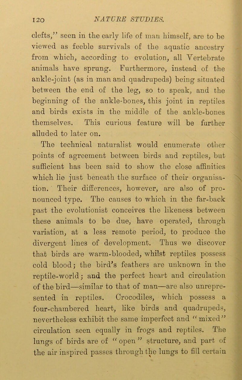 clefts/’ seen in tlie early life of man himself, are to be viewed as feeble survivals of the aquatic ancestry from which, according to evolution, all Vertebrate animals have sprung. Furthermore, instead of the ankle-joint (as in man and quadrupeds) being situated between the end of the leg, so to speak, and the beginning of the ankle-bones, this joint in reptiles and birds exists in the middle of the ankle-bones themselves. This curious feature will be further alluded to later on. The technical naturalist would enumerate other points of agreement between birds and reptiles, but sufficient has been said to show the close affinities which lie just beneath the surface of their organisa- tion. Their differences, however, are also of pro- nounced type. The causes to which in the far-back past tlio evolutionist conceives the likeness between these animals to be due, have operated, through variation, at a less remote period, to produce the divergent lines of development. Thus we discover that birds are warm-blooded, whilst reptiles possess cold blood; the bird’s feathers are unknown in the reptile-world; and the perfect heart and circulation of the bird—similar to that of man—are also unrepre- sented in reptiles. Crocodiles, which possess a four-chambered heart, like birds and quadrupeds, nevertheless exhibit the same imperfect and “ mixed’’ circulation seen equally in frogs and reptiles. The lungs of birds are of “ open ” structure, and part of the air inspired passes through the lungs to fill certain