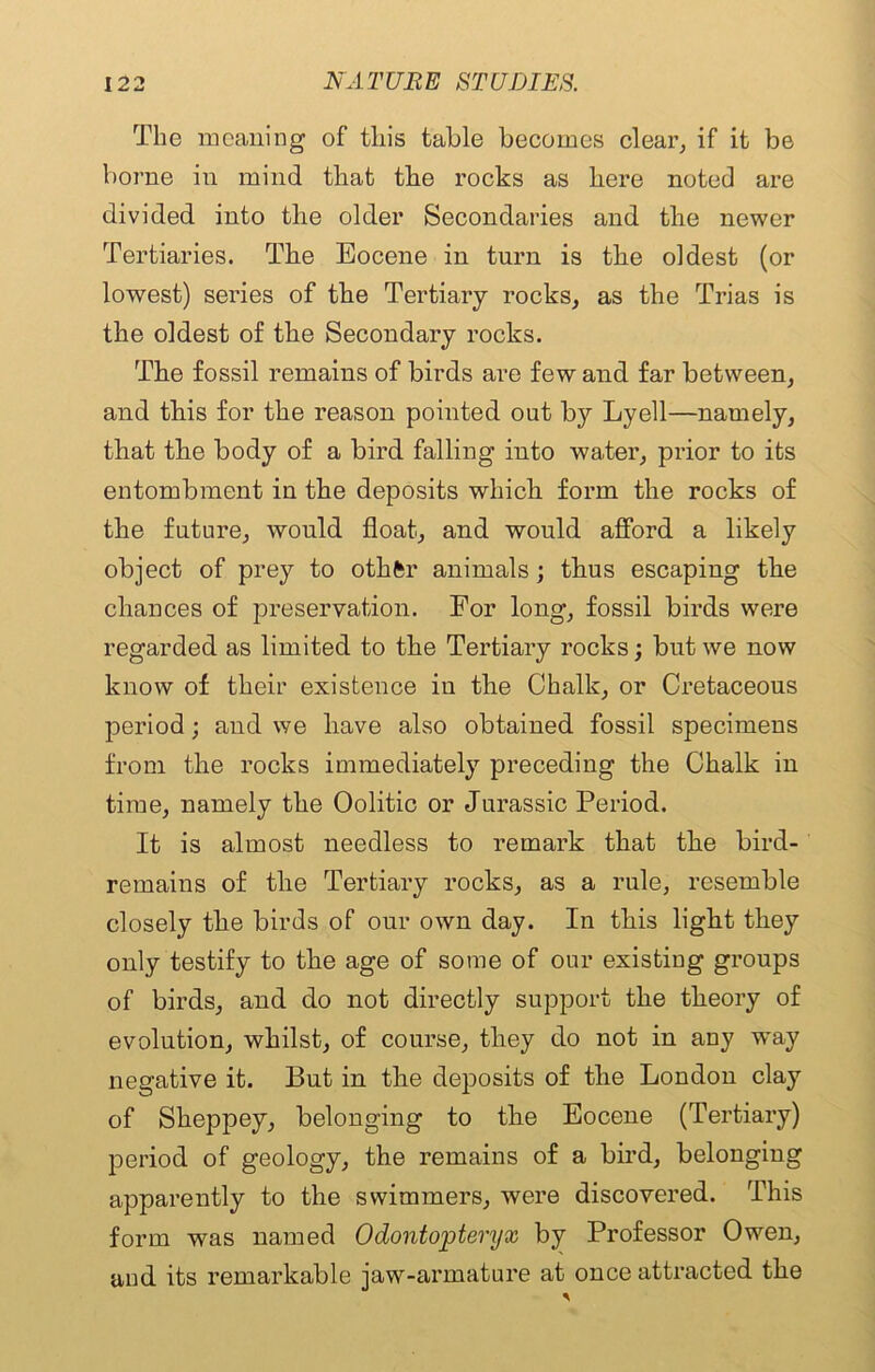 The meaning of this table becomes clear, if it be borne in mind that the rocks as here noted are divided into the older Secondaries and the newer Tertiaries. The Eocene in turn is the oldest (or lowest) series of the Tertiary rocks, as the Trias is the oldest of the Secondary rocks. The fossil remains of birds are few and far between, and this for the reason pointed out by Lyell—namely, that the body of a bird falling into water, prior to its entombment in the deposits which form the rocks of the future, would float, and would afford a likely object of prey to otkfcr animals; thus escaping the chances of preservation. For long, fossil birds were regarded as limited to the Tertiary rocks; but we now know of their existence in the Chalk, or Cretaceous period; and we have also obtained fossil specimens from the rocks immediately preceding the Chalk in time, namely the Oolitic or Jurassic Period. It is almost needless to remark that the bird- remains of the Tertiary rocks, as a rule, resemble closely the birds of our own day. In this light they only testify to the age of some of our existing groups of birds, and do not directly support the theory of evolution, whilst, of course, they do not in any way negative it. But in the deposits of the London clay of Sheppey, belonging to the Eocene (Tertiary) period of geology, the remains of a bird, belonging apparently to the swimmers, were discovered. This form was named Odontopteryx by Professor Owen, and its remarkable jaw-armature at once attracted the