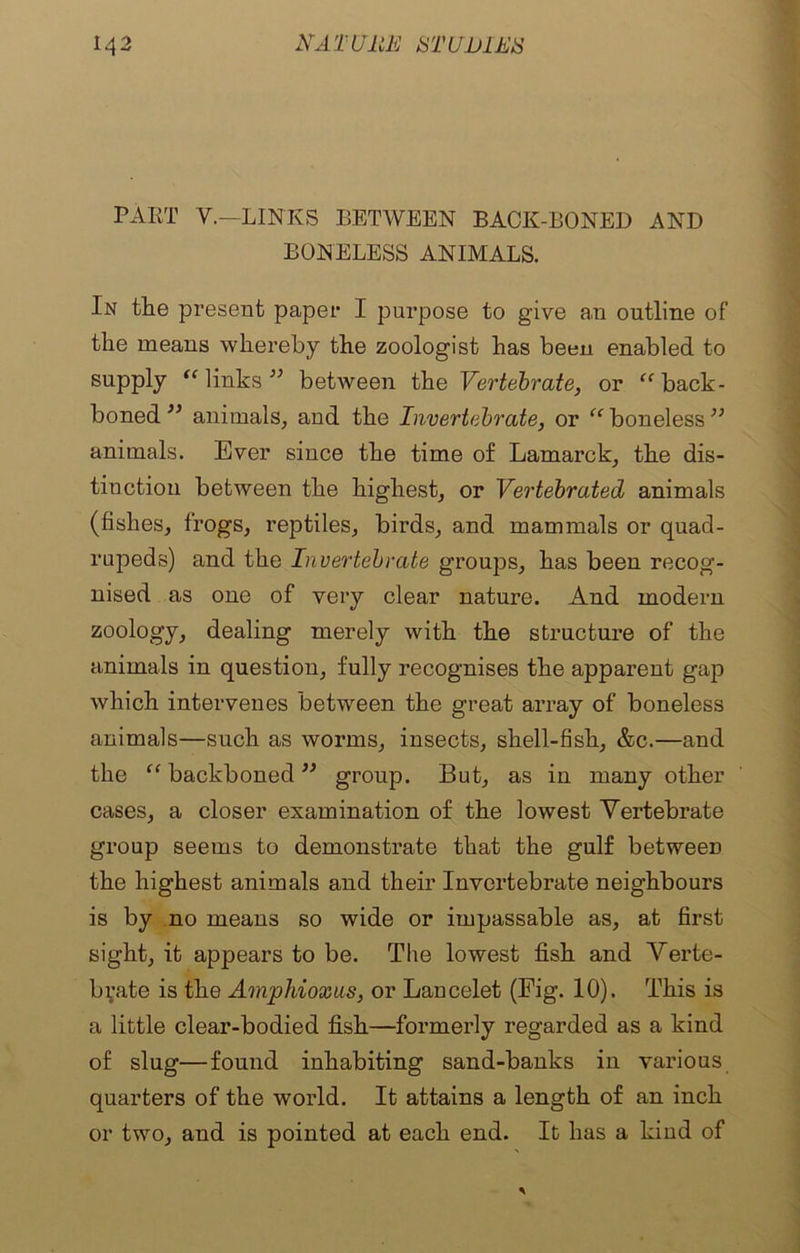 PART V.—LINKS BETWEEN BACK-BONED AND BONELESS ANIMALS. In the present paper I purpose to give an outline of the means whereby the zoologist has been enabled to supply “ links n between the Vei'tebrate, or <c back- boned ” animals, and the Invertebrate, or “ boneless ” animals. Ever since the time of Lamarck, the dis- tinction between the highest, or Vertebrated animals (fishes, frogs, reptiles, birds, and mammals or quad- rupeds) and the Invertebrate groups, has been recog- nised as one of very clear nature. And modern zoology, dealing merely with the structure of the animals in question, fully recognises the apparent gap which intervenes between the great array of boneless animals—such as worms, insects, shell-fish, &c.—and the “ backboned ” group. But, as in many other cases, a closer examination of the lowest Vertebrate group seems to demonstrate that the gulf between the highest animals and their Invertebrate neighbours is by no means so wide or impassable as, at first sight, it appears to be. The lowest fish and Verte- brate is the Amphioxus, or Lancelet (Fig. 10). This is a little clear-bodied fish—formerly regarded as a kind of slug—found inhabiting sand-banks in various quarters of the world. It attains a length of an inch or two, and is pointed at each end. It has a kind of