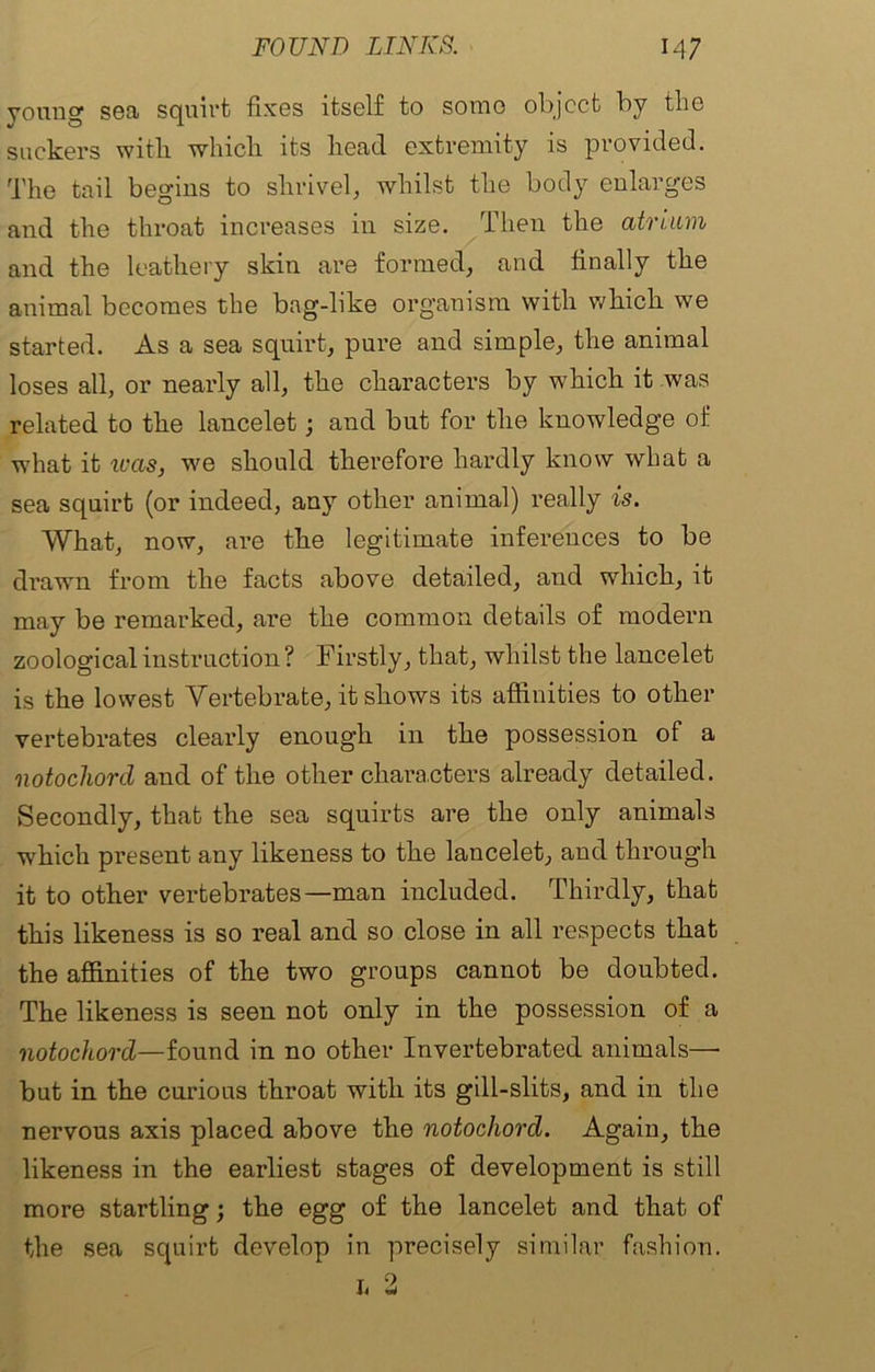 young sea squirt fixes itself to some object by the suckers with which its head extremity is provided. The tail begins to shrivel, whilst the body enlarges and the throat increases in size. Then the atrium and the leathery skin are formed, and finally the animal becomes the bag-like organism with which we started. As a sea squirt, pure and simple, the animal loses all, or nearly all, the characters by which it was related to the lancelet; and but for the knowledge of what it tv as, we should therefore hardly know what a sea squirt (or indeed, any other animal) really is. What, now, are the legitimate inferences to be drawn from the facts above detailed, and which, it may be remarked, are the common details of modern zoological instruction ? Firstly, that, whilst the lancelet is the lowest Vertebrate, it shows its affinities to other vertebrates clearly enough in the possession of a notochord and of the other characters already detailed. Secondly, that the sea squirts are the only animals which present any likeness to the lancelet, and through it to other vertebrates—man included. Thirdly, that this likeness is so real and so close in all respects that the affinities of the two groups cannot be doubted. The likeness is seen not only in the possession of a notochord—found in no other Invertebrated animals— but in the curious throat with its gill-slits, and in the nervous axis placed above the notochord. Again, the likeness in the earliest stages of development is still more startling; the egg of the lancelet and that of the sea squirt develop in precisely similar fashion.