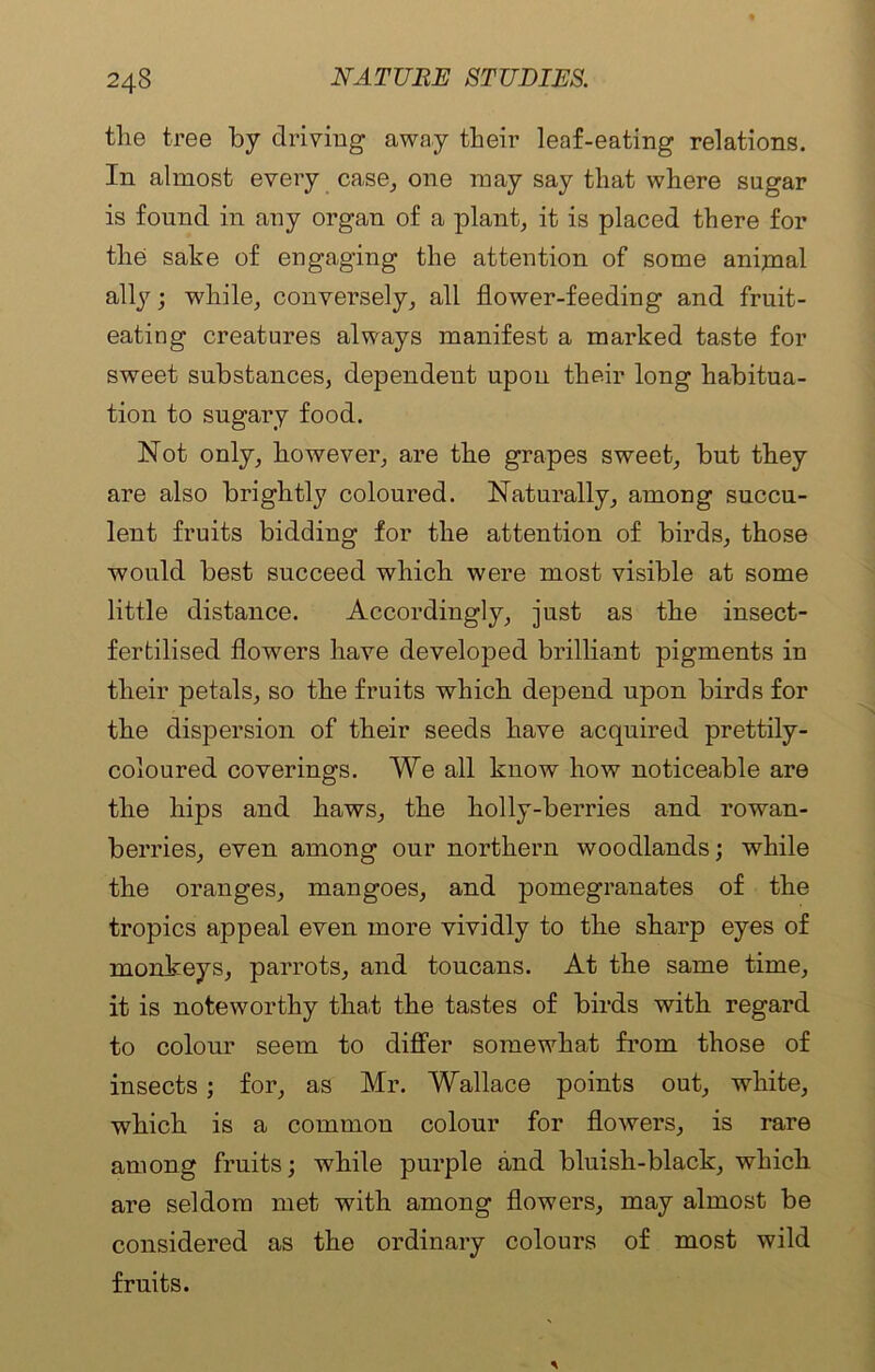 the tree by driving away their leaf-eating relations. In almost every case, one may say that where sugar is found in any organ of a plant, it is placed there for the sake of engaging the attention of some anijnal ally; while, conversely, all flower-feeding and fruit- eating creatures always manifest a marked taste for sweet substances, dependent upon their long habitua- tion to sugary food. Not only, however, are the grapes sweet, but they are also brightly coloured. Naturally, among succu- lent fruits bidding for the attention of birds, those would best succeed which were most visible at some little distance. Accordingly, just as the insect- fertilised flowmrs have developed brilliant pigments in their petals, so the fruits which depend upon birds for the dispersion of their seeds have acquired prettily- coloured coverings. We all know how noticeable are the hips and haws, the holly-berries and rowan- berries, even among our northern woodlands; while the oranges, mangoes, and pomegranates of the tropics appeal even more vividly to the sharp eyes of monkeys, parrots, and toucans. At the same time, it is noteworthy that the tastes of birds with regard to colour seem to differ somewhat from those of insects ; for, as Mr. Wallace points out, white, which is a common colour for flowers, is rare among fruits; while purple and bluish-black, which are seldom met with among flowers, may almost be considered as the ordinary colours of most wild fruits.