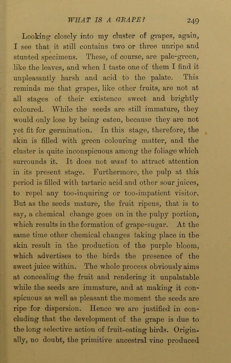 Looking closely into my cluster of grapes, again, I see that it still contains two or three unripe and stunted specimens. These, of course, are pale-green, like the leaves, and when I taste one of them I find it unpleasantly harsh and acid to the palate. This reminds me that grapes, like other fruits, are not at all stages of their existence sweet and brightly coloured. While the seeds are still immature, they would only lose by being eaten, because they are not yet fit for germination. In this stage, therefore, the skin is filled with green colouring matter, and the cluster is quite inconspicuous among the foliage which surrounds it. It does not want to attract attention in its present stage. Furthermore, the pulp at this period is filled with tartaric acid and other sour juices, to repel any too-inquiring or too-impatient visitor. But as the seeds mature, the fruit ripens, that is to say, a chemical change goes on in the pulpy portion, which results in the formation of grape-sugar. At the same time other chemical changes taking place in the skin result in the production of the purple bloom, which advertises to the birds the presence of the sweet juice within. The whole process obviously aims at concealing the fruit and rendering it unpalatable while the seeds are immature, and at making it con- spicuous as well as pleasant the moment the seeds are ripe for dispersion. Hence we are justified in con- cluding that the development of the grape is due to the long selective action of fruit-eating birds. Origin- ally, no doubt, the primitive ancestral vine produced
