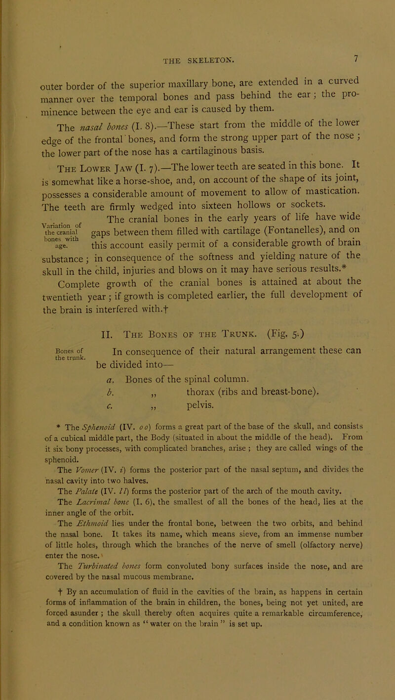 outer border of the superior maxillary bone, are extended in a curved manner over the temporal bones and pass behind the ear; the pro- minence between the eye and ear is caused by them. The nasal bones (I. 8).—These start from the middle of the lower edge of the frontal' bones, and form the strong upper part of the nose ; the lower part of the nose has a cartilaginous basis. The Lower Jaw (I. 7).—The lower teeth are seated in this bone. It is somewhat like a horse-shoe, and, on account of the shape of its joint, possesses a considerable amount of movement to allow of mastication. The teeth are firmly wedged into sixteen hollows or sockets. The cranial bones in the early years of life have wide the cranial gaps between them filled with cartilage (Fontanelles), and on ' °nage'uth this account easily permit of a considerable growth of brain substance ; in consequence of the softness and yielding nature of the skull in the child, injuries and blows on it may have serious results* Complete growth of the cranial bones is attained at about the twentieth year; if growth is completed earlier, the full development of the brain is interfered with.f II. The Bones of the Trunk. (Fig. 5.) Bones of In consequence of their natural arrangement these can the trunk. . 1 be divided into— a. Bones of the spinal column. b. ,, thorax (ribs and breast-bone). c. „ pelvis. * The Sphenoid (IV. o o) forms a great part of the base of the skull, and consists of a cubical middle part, the Body (situated in about the middle of the head). From it six bony processes, with complicated branches, arise ; they are called wings of the sphenoid. The Vomer (IV. i) forms the posterior part of the nasal septum, and divides the nasal cavity into two halves. The Palate (IV. 11) forms the posterior part of the arch of the mouth cavity. The Lacrimal bone (I. 6), the smallest of all the bones of the head, lies at the inner angle of the orbit. The Ethmoid lies under the frontal bone, between the two orbits, and behind the nasal bone. It takes its name, which means sieve, from an immense number of little holes, through which the branches of the nerve of smell (olfactory nerve) enter the nose.' The Turbinated bones form convoluted bony surfaces inside the nose, and are covered by the nasal mucous membrane. f By an accumulation of fluid in the cavities of the brain, as happens in certain forms of inflammation of the brain in children, the bones, being not yet united, are forced asunder ; the skull thereby often acquires quite a remarkable circumference, and a condition known as “ water on the brain ” is set up.