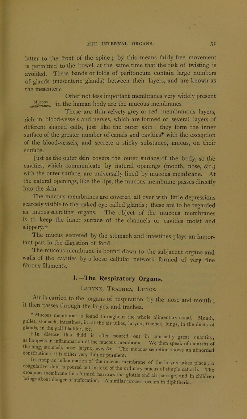 latter to the front of the spine; by this means fairly free movement is permitted to the bowel, at the same time that the risk of twisting is avoided. These bands or folds of peritoneum contain large numbers of glands (mesenteric glands) between their layers, and are known as the mesentery. Other not less important membranes very widely present membranes. in the human body are the mucous membranes. These are thin velvety grey or red membranous layers, rich in blood-vessels and nerves, which are formed of several layers of different shaped cells, just like the outer skin; they form the inner surface of the greater number of canals and cavities* with the exception of the blood-vessels, and secrete a sticky substance, mucus, on their surface. Just as the outer skin covers the outer surface of the body, so the cavities, which communicate by natural openings (mouth, nose, &c.) with the outer surface, are universally lined by mucous membrane. At the natural openings, like the lips, the mucous membrane passes directly into the skin. The mucous membranes are covered all over with little depressions scarcely visible to the naked eye called glands ; these are to be regarded as mucus-secreting organs. The object of the mucous membranes is to keep the inner surface of the channels or cavities moist and slippery.f d he mucus secreted by the stomach and intestines plays an impor- tant part in the digestion of food. The mucous membrane is bound down to the subjacent organs and walls of the cavities by a loose cellular network formed of very fine fibrous filaments. !•—The Respiratory Organs. Larynx, Trachea, Lungs. Air is carried to the organs of respiration by the nose and mouth , it then passes through the larynx and trachea. * Mucous membrane is found throughout the whole alimentary canal. Mouth, gullet, stomach, intestines, in all the air lubes, larynx, trachea, lungs, in the ducts of glands, in the gall bladder, &c. t In disease this fluid is often poured out in unusually great quantity, as appens in inflammation of the mucous membrane. We then speak of catarrhs of t c lung, stomach, nose, larynx, eye, &c. The mucous secretion shows an abnormal constitution ; it is either very thin or purulent. In croup an inflammation of the mucous membrane of the larynx takes place • a coagulative fluid is poured out instead of the ordinary mucus of simple catarrh. The croupous membrane thus formed narrows the glottis and air passage, and in children uings about danger of suffocation. A similar process occurs in diphtheria.