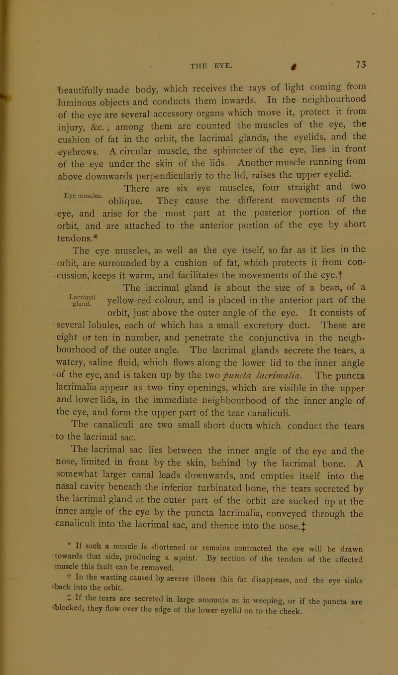 beautifully made body, which receives the rays of light coming from luminous objects and conducts them inwards. In the neighbourhood of the eye are several accessory organs which move it, protect it from injury, &c.; among them are counted the muscles of the eye, the cushion of fat in the orbit, the lacrimal glands, the eyelids, and the ■ eyebrows. A circular muscle, the sphincter of the eye, lies in front of the eye under the skin of the lids. Another muscle running from above downwards perpendicularly to the lid, raises the upper eyelid. There are six eye muscles, four straight and two Eye muscles, They cause the different movements of the • eye, and arise for the most part at the posterior portion of the orbit, and are attached to the anterior portion of the eye by short tendons.* The eye muscles, as well as the eye itself, so far as it lies in the ■ orbit, are surrounded by a cushion of fat, which protects it from con- cussion, keeps it warm, and facilitates the movements of the eye.f The lacrimal gland is about the size of a bean, of a Lgiand.al yellow-red colour, and is placed in the anterior part of the orbit, just above the outer angle of the eye. It consists of ■ several lobules, each of which has a small excretory duct. These are eight or ten in number, and penetrate the conjunctiva in the neigh- bourhood of the outer angle. The lacrimal glands secrete the tears, a watery, saline fluid, which flows along the lower lid to the inner angle • of the eye, and is taken up by the two puncta lacrimalia. The puncta lacrimalia appear as two tiny openings, which are visible in the upper and lower lids, in the immediate neighbourhood of the inner angle of the eye, and form the upper part of the tear canaliculi. The canaliculi are two small short ducts which conduct the tears to the lacrimal sac. The lacrimal sac lies between the inner angle of the eye and the nose, limited in front by the skin, behind by the lacrimal bone. A somewhat larger canal leads downwards, and empties itself into the nasal cavity beneath the inferior turbinated bone, the tears secreted by the lacrimal gland at the outer part of the orbit are sucked up at the inner angle of the eye by the puncta lacrimalia, conveyed through the canaliculi into the lacrimal sac, and thence into the nose.^ If such a muscle is shortened or remains contracted the eye will be drawn towards that side, producing a squint. By section of the tendon of the affected muscle this fault can be removed. I In the wasting caused by severe illness this fat disappears, and the eye sinks ■ back into the orbit. + If the tears are secreted in large amounts as in weeping, or if the puncta are blocked, they flow over the edge of the lower eyelid on to the cheek.
