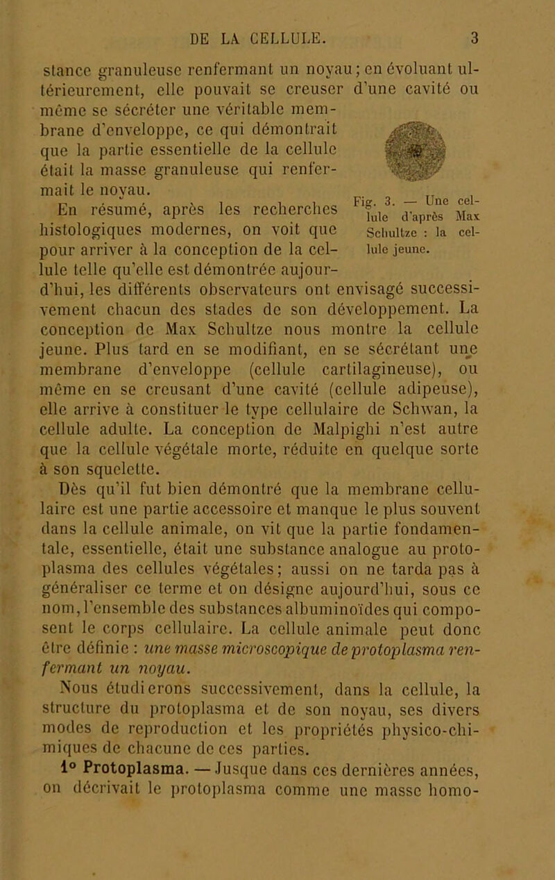 slancc granuleuse renfermant un noyau ; en évoluant ul- térieurement, elle pouvait se creuser d’une cavité ou même se sécréter une véritable mem- brane d’enveloppe, ce qui démontrait que la partie essentielle de la cellule était la masse granuleuse qui renfer- mait le noyau. En résumé, après les recherches histologiques modernes, on voit que pour arriver à la conception de la cel- lule telle qu’elle est démontrée aujour- d’hui, les différents observateurs ont envisagé successi- vement chacun des stades de son développement. La conception de Max Schultze nous montre la cellule jeune. Plus tard en se modifiant, en se sécrétant une membrane d’enveloppe (cellule cartilagineuse), ou même en se creusant d’une cavité (cellule adipeuse), elle arrive à constituer le type cellulaire de Schwan, la cellule adulte. La conception de Malpighi n’est autre que la cellule végétale morte, réduite en quelque sorte à son squelette. Dès qu’il fut bien démontré que la membrane cellu- laire est une partie accessoire et manque le plus souvent dans la cellule animale, on vit que la partie fondamen- tale, essentielle, était une substance analogue au proto- plasma des cellules végétales ; aussi on ne tarda pas à généraliser ce terme et on désigne aujourd’hui, sous ce nom, l’ensemble des substances albuminoïdes qui compo- sent le corps cellulaire. La cellule animale peut donc être définie: ime masse microscopique de protoplasma ren- fermant un noyau. Nous étudierons successivement, dans la cellule, la structure du protoplasma et do son noyau, ses divers modes de reproduction et les propriétés physico-chi- miques de chacune de ces parties. 1° Protoplasma. —Jusque dans cos dernières années, on décrivait le protoplasma comme une masse homo- Fig. 3. — Une cel- lule d'après Max Scliultze : la cel- lule jeune.