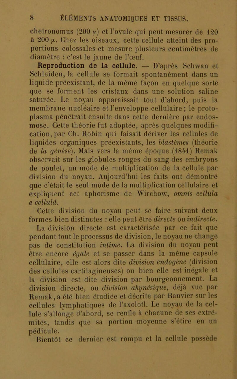 cheïronomus (200 u.) et l’ovule qui peut mesurer de 120 à 200 U.. Chez les oiseaux, cette cellule atteint des pro- portions colossales et mesure plusieurs centimètres de diamètre : c’est le jaune de l’œuf. Reproduction de la cellule. — D’après Sclnvan et Schleiden, la cellule se formait spontanément dans un liquide préexistant, de la même façon en quelque sorte que se forment les cristaux dans une solution saline saturée. Le noyau apparaissait tout d’abord, puis la membrane nucléaire et l’enveloppe cellulaire; le proto- plasma pénétrait ensuite dans cette dernière par endos- mose. Cette théorie fut adoptée, après quelques modifi- cation, par Ch. Robin qui faisait dériver les cellules de liquides organiques préexistants, les blastèmes (théorie de la gènèse). Mais vers la même époque (1841) Remak observait sur les globules rouges du sang des embryons de poulet, un mode de multiplication de la cellule par division du noyau. Aujourd’hui les faits ont démontré que c’était le seul mode de la multiplication cellulaire et expliquent cet aphorisme de Wirchow, omnis cellula e cellulâ. Cette division du noyau peut se faire suivant deux formes bien distinctes : elle peut être directe onindirecte. La division directe est caractérisée par ce fait que pendant tout le processus de division, le noyau ne change pas de constitution intime. La division du noyau peut être encore égale et se passer dans la même capsule cellulaire, elle est alors dite division endogène (division des cellules cartilagineuses) ou bien elle est inégale et la division est dite division par bourgeonnement. La division directe, ou division akynésique, déjà vue par Remak, a été bien étudiée et décrite par Ranvicr sur les cellules lymphatiques de l’axolotl. Le noyau de la cel- lule s’allonge d’abord, se renfle à chacune de ses extré- mités, tandis que sa portion moyenne s’étire en un pédicule. Bientôt ce dernier est rompu et la cellule possède