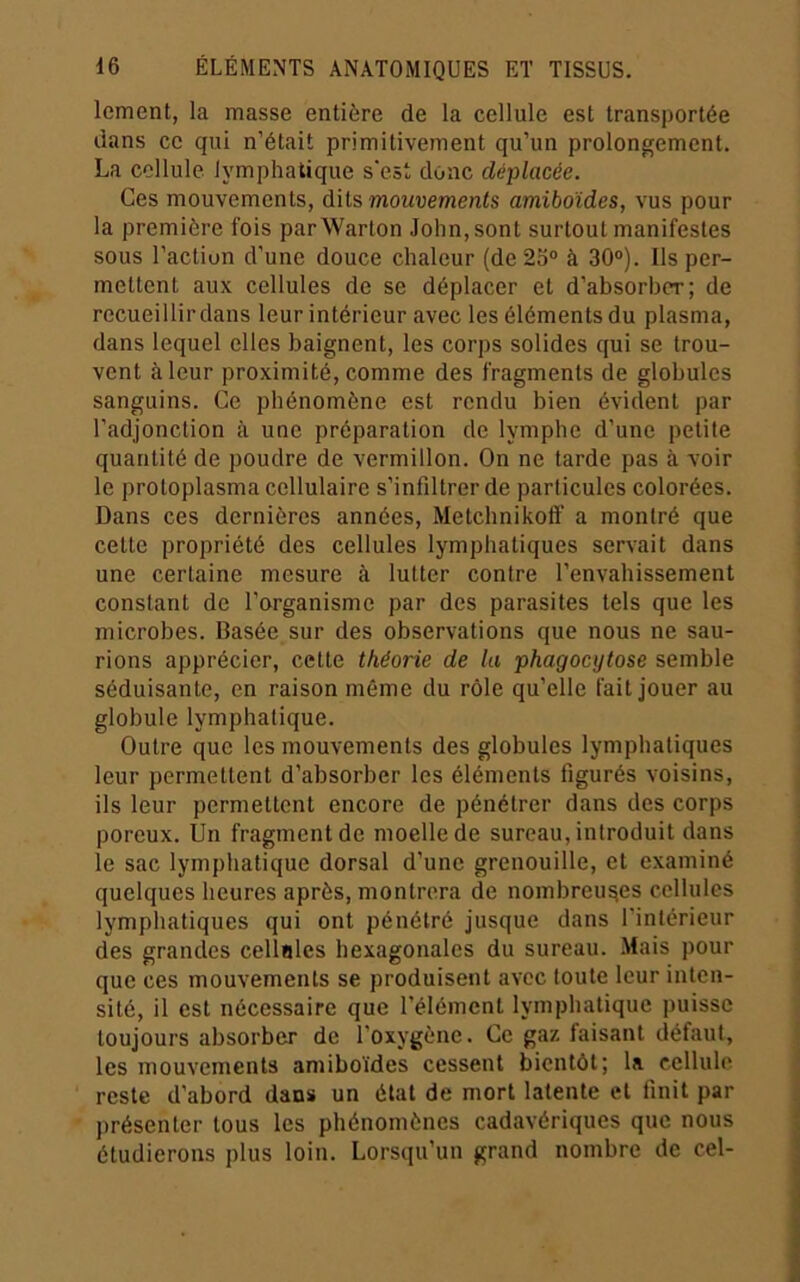 lement, la masse entière de la cellule est transportée dans ce qui n’était primitivement qu’un prolongement. La cellule lymphatique s'est donc déplacée. Ces mouvements, dits mouvements amiboïdes, vus pour la première fois parWarton John, sont surtout manifestes sous l’action d’une douce chaleur (de 2o“ à 30°). Ils per- mettent aux cellules de se déplacer et d’absorber; de recueillir dans leur intérieur avec les éléments du plasma, dans lequel elles baignent, les corps solides qui se trou- vent à leur proximité, comme des fragments de globules sanguins. Ce phénomène est rendu bien évident par l’adjonction à une préparation de lymphe d’une petite quantité de poudre de vermillon. On ne tarde pas à voir le proloplasma cellulaire s’infiltrer de particules colorées. Dans ces dernières années, Metchnikoff a montré que cette propriété des cellules lymphatiques servait dans une certaine mesure à lutter contre l’envahissement constant de l’organisme par des parasites tels que les microbes. Basée sur des observations que nous ne sau- rions apprécier, cette théorie de la phagocytose semble séduisante, en raison même du rôle qu’elle fait jouer au globule lymphatique. Outre que les mouvements des globules lymphatiques leur permettent d’absorber les éléments figurés voisins, ils leur permettent encore de pénétrer dans des corps poreux. Un fragment de moelle de sureau, introduit dans le sac lymphatique dorsal d’une grenouille, et examiné quelques heures après, montrera de nombreuses cellules lymphatiques qui ont pénétré jusque dans l'intérieur des grandes cellnles hexagonales du sureau. .Mais pour que ces mouvements se produisent avec toute leur inten- sité, il est nécessaire que l’élément lymphatique puisse toujours absorber de l’oxygène. Ce gaz faisant défaut, les mouvements amiboïdes cessent bientôt; la cellule reste d’abord dans un état de mort latente et finit par présenter tous les phénomènes cadavériques que nous étudierons plus loin. Lorsqu’un grand nombre de cel-