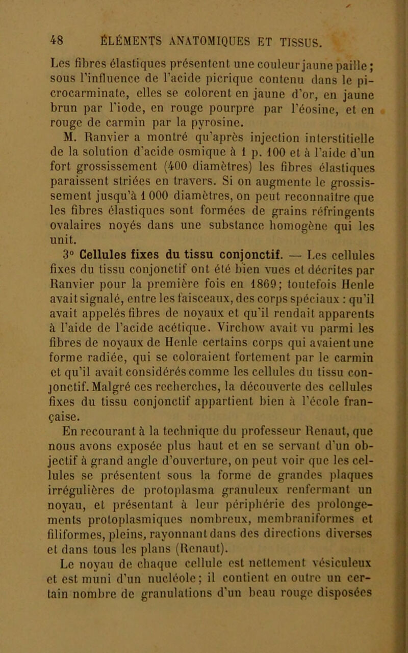 Les fibres élastiques présentent une couleur jaune paille ; sous l’influence de l’acide picrique contenu dans le pi- crocarminate, elles se colorent en jaune d’or, en jaune brun par l'iode, en rouge pourpre par l’éosine, et en rouge de carmin par la pyrosine. M. Ranvier a montré qu’après injection interstitielle de la solution d'acide osmique à 1 p. 100 et à l’aide d'un fort grossissement (400 diamètres) les fibres élastiques paraissent striées en travers. Si on augmente le grossis- sement jusqu’à 1000 diamètres, on peut reconnaître que les fibres élastiques sont formées de grains réfringents ovalaires noyés dans une substance homogène qui les unit. 3® Cellules fixes du tissu conjonctif. — Les cellules fixes du tissu conjonctif ont été bien vues et décrites par Ranvier pour la première fois en 1869; toutefois Renie avait signalé, entre les faisceaux, des corps spéciaux : qu’il avait appelés fibres de noyaux et qu'il rendait apparents à l’aide de l’acide acétique. Virchow avait vu parmi les fibres de noyaux de Renie certains corps qui avaient une forme radiée, qui se coloraient fortement par le carmin et qu’il avait considérés comme les cellules du tissu con- jonctif. Malgré ces recherches, la découverte des cellules fixes du tissu conjonctif appartient bien à l’école fran- çaise. En recourant à la technique du professeur Renaut, que nous avons exposée plus haut et en se servant d’un ob- jectif à grand angle d’ouverture, on peut voir que les cel- lules se présentent sous la forme de grandes plaques irrégulières de protoplasma granuleux renfermant un noyau, et présentant à leur périphérie des prolonge- ments protoplasmiques nombreux, membraniformes et filiformes, pleins, rayonnant dans des directions diverses et dans tous les plans (Reniuit). Le noyau de chaque cellule est nettement vésiculeux et est muni d'un nucléole; il contient en outre un cer- tain nombre de granulations d’un beau rouge disposées