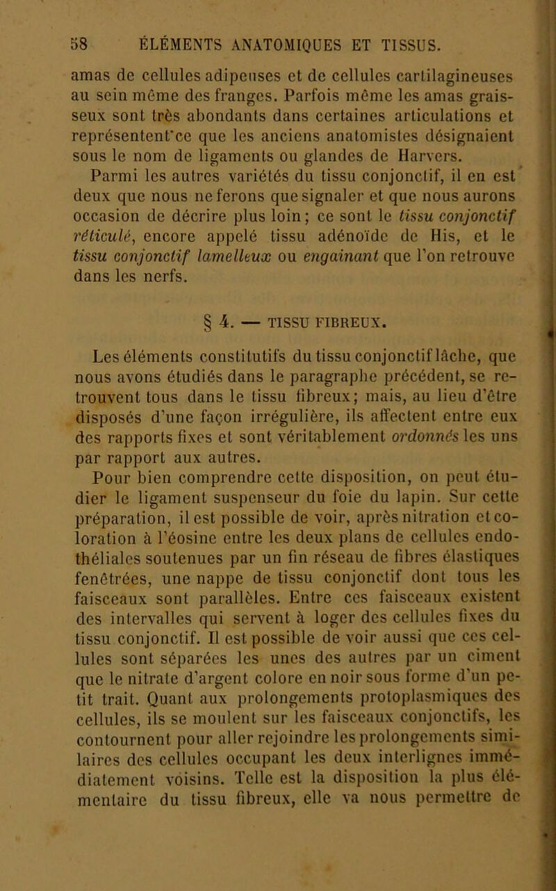 amas de cellules adipeuses et de cellules cartilagineuses au sein même des franges. Parfois même les amas grais- seux sont très abondants dans certaines articulations et représentent’ce que les anciens anatomistes désignaient sous le nom de ligaments ou glandes de Harvers. Parmi les autres variétés du tissu conjonctif, il en est deux que nous ne ferons que signaler et que nous aurons occasion de décrire plus loin ; ce sont le tissu conjonctif réticulé, encore appelé tissu adénoïde de His, et le tissu conjonctif lamelleux ou engainant que l’on retrouve dans les nerfs. § 4. — TISSU FIBREUX. Les éléments constitutifs du tissu conjonctif lâche, que nous avons étudiés dans le paragraphe précédent, se re- trouvent tous dans le tissu fibreux; mais, au lieu d’être disposés d’une façon irrégulière, ils affectent entre eux des rapports fixes et sont véritablement ordonnés les uns par rapport aux autres. Pour bien comprendre cette disposition, on peut étu- dier le ligament suspeuseur du foie du lapin. Sur cette préparation, il est possible de voir, après nitration et co- loration à l’éosine entre les deux plans de cellules endo- théliales soutenues par un fin réseau de fibres élastiques fenôtrées, une nappe de tissu conjonctif dont tous les faisceaux sont parallèles. Entre ces faisceaux existent des intervalles qui servent à loger des cellules fixes du tissu conjonctif. Il est possible de voir aussi que ces cel- lules sont séparées les unes des autres par un ciment que le nitrate d’argent colore en noir sous forme d’un pe- tit trait. Quant aux prolongements protoplasmiques des cellules, ils se moulent sur les faisceaux conjonctifs, les contournent pour aller rejoindre les prolongements simi- laires des cellules occupant les deux interlignes immé- diatement voisins. Telle est la disposition la plus élé- mentaire du tissu fibreux, elle va nous permettre de