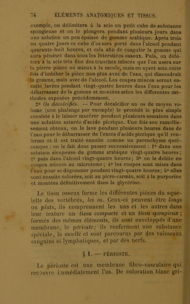 exemple, on délimitera à la scie un petit cube de substance spongieuse et on le plongera pendant plusieurs jours dans une solution un peu épaisse de gomme arabique. Après trois ou quatre jours ce cube d’os sera porté dans l’alcool pendant quarante-huit heures, et cela afin de coaguler la gomme qui aura pénétré dans tous les interstices osseux. Puis, on débi- tera à la scie très fine des tranches minces que l’on usera sur la pierre ponce ou mieux à la meule, mais en ayant soin cette l'ois d’imbiber la pièce non plus avec de l’eau, qui dissoudrait la gomme, mais avec de l’alcool. Les coupes minces seront en- suite lavées pendant vingt-quatre heures dans l’eau pour les débarrasser de la gomme et montées selon les differentes mé- thodes exposées précédemment. 2° Os décalcifiés. — Pour décalcifier un os de moyen vo- lume (une phalange par exemple) le procédé le plus simple consiste à le laisser macérer pendant plusieurs semaines dans une solution saturée d’acide picrique. Une fois son ramollis- sement obtenu, on le lave pendant plusieurs heures dans de l’eau pour le débarrasser de l’excès d’acide picrique qu’il ren- ferme et il est traité ensuite comme un parenchyme quel- conque : on le fait donc passer successivement : 1» dans une solution sirupeuse de gomme arabique vingt-quatre heures; 2» puis dans l’alcool vingt-quatre heures; 3® on le débite en coupes minces au microtome; 4® les coupes sont mises dans l’eau pour se dégommer pendant vingt-quatre heures; 5® elles sont ensuite colorées, soit au picro-carmin, soit à la purpurine et montées définitivement dans la glycérine. Le tissu osseux forme les différentes pièces du sque- lette des vertébrés, les os. Ceux-ci peuvent être longs- ou plats, ils comprennent les uns et les autres dans leur texture un tissu compacte et un tissu spongieux ; formés des mêmes éléments, ils sont enveloppés d'une membrane, le périoste; ils renferment une substance spéciale, la moelle et sont parcourus par des vaisseaux sanguins et lymphatiques, et par des nerfs. § 1. — PÉRIOSTE. Le périoste est une membrane fibro-vasculaire qui recouvre immédiatement l’os. De coloration blanc gri-