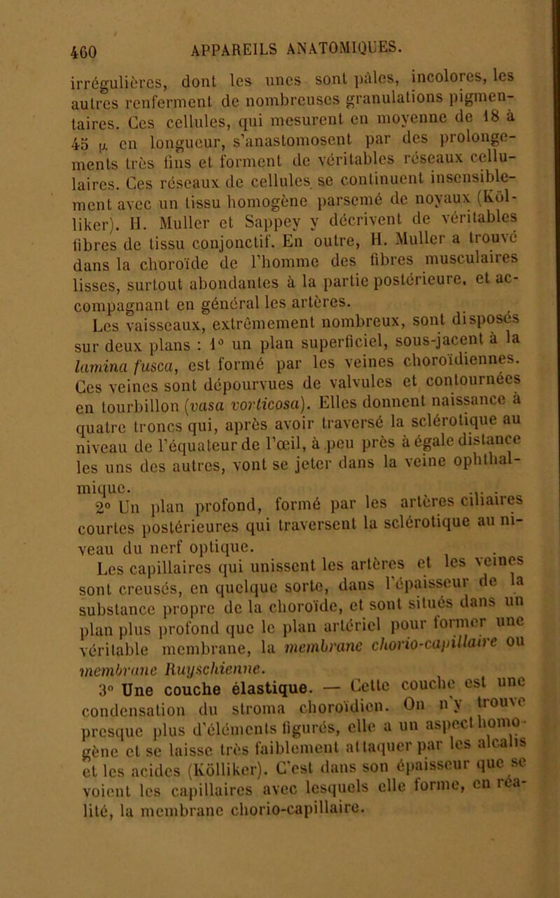 irrégulières, dont les unes sont ])àles, incolores, les autres renferment de nombreuses granulations pigmen- taires. Ces cellules, qui mesurent en moyenne de 18 à 45 [X en longueur, s’anastomosent par des prolonge- ments très lins et forment de véritables réseaux cellu- laires. Ces réseaux de cellules se continuent insensible- ment avec un tissu homogène parsemé de noyaux (Kol- liker). H. Muller et Sappey y décrivent de véritables fibres de tissu conjonctif. En outre, H. Muller a trouvé dans la choroïde de l’homme des fibres musculaires lisses, surtout abondantes à la partie postérieure, et ac- compagnant en général les artères. Les vaisseaux, extrêmement nombreux, sont disposes sur deux plans : un plan superficiel, sous-jacent à la lamina fusca, est formé par les veines cboroidiennes. Ces veines sont dépourvues de valvules et contournées en tourbillon {vasa vorlicosa). Elles donnent naissance à quatre troncs qui, après avoir traversé la sclérotique au niveau de l’équateur de l’œil, à .peu près à égale distance les uns des autres, vont se jeter dans la veine opbtlia - inique. , . . 2® Un plan profond, formé par les artères ciliaires courtes postérieures qui traversent la sclérotique au ni- veau du nerf optique. Les capillaires qui unissent les artères et les veines sont creusés, en quelque sorte, dans l’épaisseur de la substance jiropre de la choroïde, et sont situés dans un plan plus ]>rofond que le plan artériel pour former une véritable membrane, la memèmne chorio-capillahe ou membrane Ruyiichienne. 3 Une couche élastique. — Cette couche est une condensation du stroma choroïdien. On n'y trouve pres(iue plus d’éléments ligurés, elle a un aspect homo- gène et se laisse très faiblement attaquer par les alcalis et les acides (Ivôlliker). C’est dans son épaisseur que se voient les cajiillaires avec lesquels elle forme, en r a lité, la membrane chorio-capillaire.