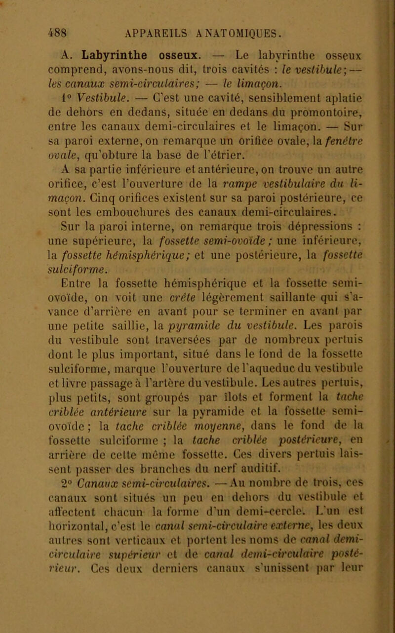 A. Labyrinthe osseux. — Le labyrinthe osseux comprend, avons-nous dit, trois cavités : le vestibule; — les canaux semi-circulaires ; — le limaçon. 1“ Vestibule. — C’est une cavité, sensiblement aplatie de dehors en dedans, située en dedans du promontoire, entre les canaux demi-circulaires et le limaçon. — Sur sa paroi externe, on remarque un orifice ovale, la fenêtre ovale, qu’obture la base de l’étrier. A sa partie inférieure et antérieure, on trouve un autre orilice, c’est l’ouverture de la rampe vestibulaire du li- maçon. Cinq orifices existent sur sa paroi postérieure, ce sont les embouchures des canaux demi-circulaires. Sur la paroi interne, on remarque trois dépressions : une supérieure, la fossette semi-ovoïde ; une inférieure, la fossette hémisphérique; et une postérieure, la fossette sulciforme. Entre la fossette hémisphérique et la fossette semi- ovoïde, on voit une crête légèrement saillante qui s'a- vance d’arrière en avant pour se terminer en avant par une petite saillie, la pyramide du vestibule. Les parois du vestibule sont traversées par de nombreux perluis dont le plus important, situé dans le fond de la fossette sulciforme, marque l'ouverture de l'aqueduc du vestibule et livre passage à l’artère du vestibule. Les autres pertuis, plus petits, sont groupés par îlots et forment la tache criblée antérieure sur la pyramide et la fossette semi- ovoïde ; la tache criblée moyenne, dans le fond de la fossette sulciforme ; la tache criblée postérieure, on arrière de celte même fossette. Ces divers pertuis lais- sent passer des branches du nerf auditif. 2® Canaux semi-circulaires. — -Vu nombre de trois, ces canaux sont situés un peu en dehors du vestibule et afl'ectent chacun la forme d'un demi-cercle. L'un est horizontal, c’est le canal semi-circulaire externe, les deux autres sont verticaux et portent les noms de canal demi- circulaire supérieur et de canal demi-circulaire posté- rieur. Ces deux derniers canaux s'unissent par leur