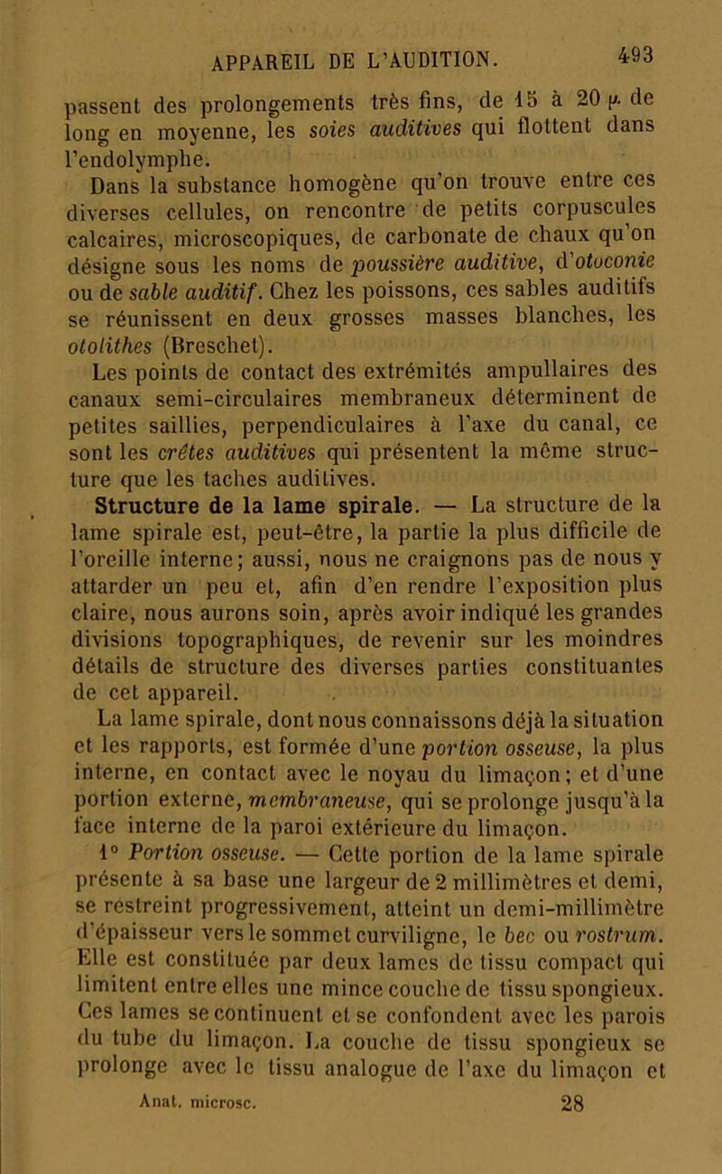 passent des prolongements très fins, de 15 à 20 (j. de long en moyenne, les soies auditives qui flottent dans l’endolymphe. Dans la substance homogène qu’on trouve entre ces diverses cellules, on rencontre de petits corpuscules calcaires, microscopiques, de carbonate de chaux qu on désigne sous les noms de poussière auditive, à'otuconie ou de sable auditif. Chez les poissons, ces sables auditifs se réunissent en deux grosses masses blanches, les otolithes (Brescliet). Les points de contact des extrémités ampullaires des canaux semi-circulaires membraneux déterminent de petites saillies, perpendiculaires à l’axe du canal, ce sont les crêtes auditives qui présentent la même struc- ture que les taches auditives. Structure de la lame spirale. — La structure de la lame spirale est, peut-être, la partie la plus difficile de l’oreille interne; aussi, nous ne craignons pas de nous y attarder un peu et, afin d’en rendre l’exposition plus claire, nous aurons soin, après avoir indiqué les grandes divisions topographiques, de revenir sur les moindres détails de structure des diverses parties constituantes de cet appareil. La lame spirale, dont nous connaissons déjà la situation et les rapports, est formée d’une portion osseuse, la plus interne, en contact avec le noyau du limaçon ; et d’une portion exlerne, membraneuse, qui se prolonge jusqu’à la face interne de la paroi extérieure du limaçon. 1® Portion osseuse. — Cette portion de la lame spirale présente à sa base une largeur de 2 millimètres et demi, se restreint progressivement, atteint un demi-millimètre d’épaisseur vers le sommet curviligne, le bec on rostrum. Elle est constituée par deux lames de tissu compact qui limitent entre elles une mince couche de tissu spongieux. Ces lames se continuent et se confondent avec les parois du tube du limaçon. La couche de tissu spongieux se prolonge avec le tissu analogue de l’axe du limaçon et Anat. niicrosc. 28